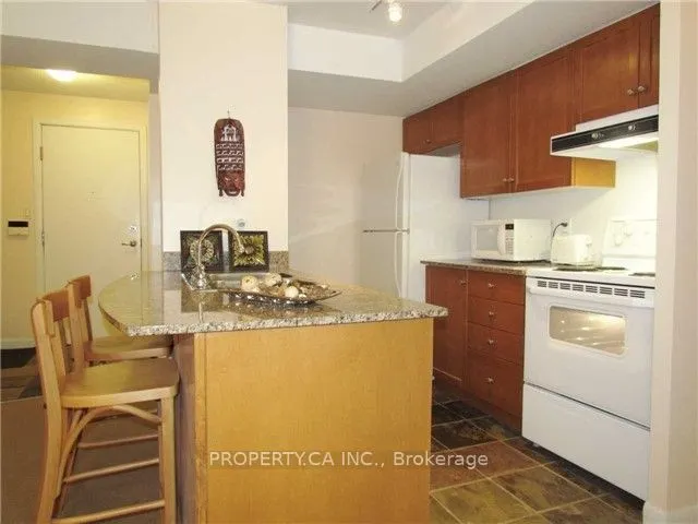 313 Richmond Street E #452