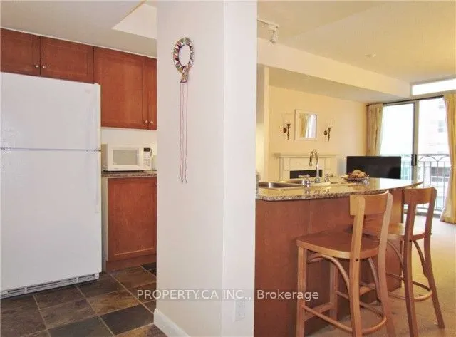313 Richmond Street E #452