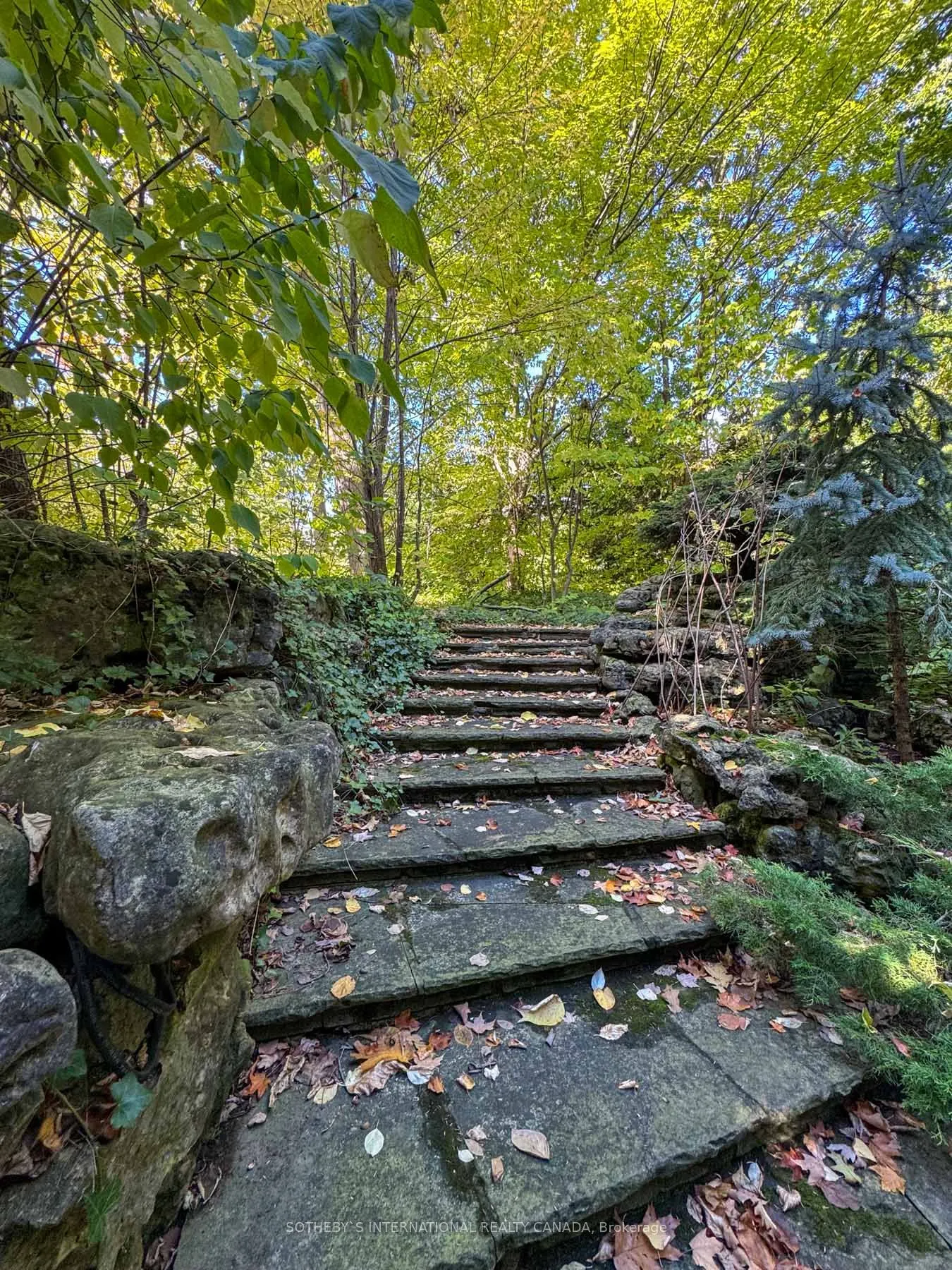 241 Strathallan Wood
