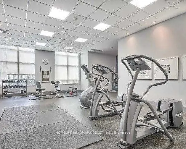 35 Bales Avenue, #511