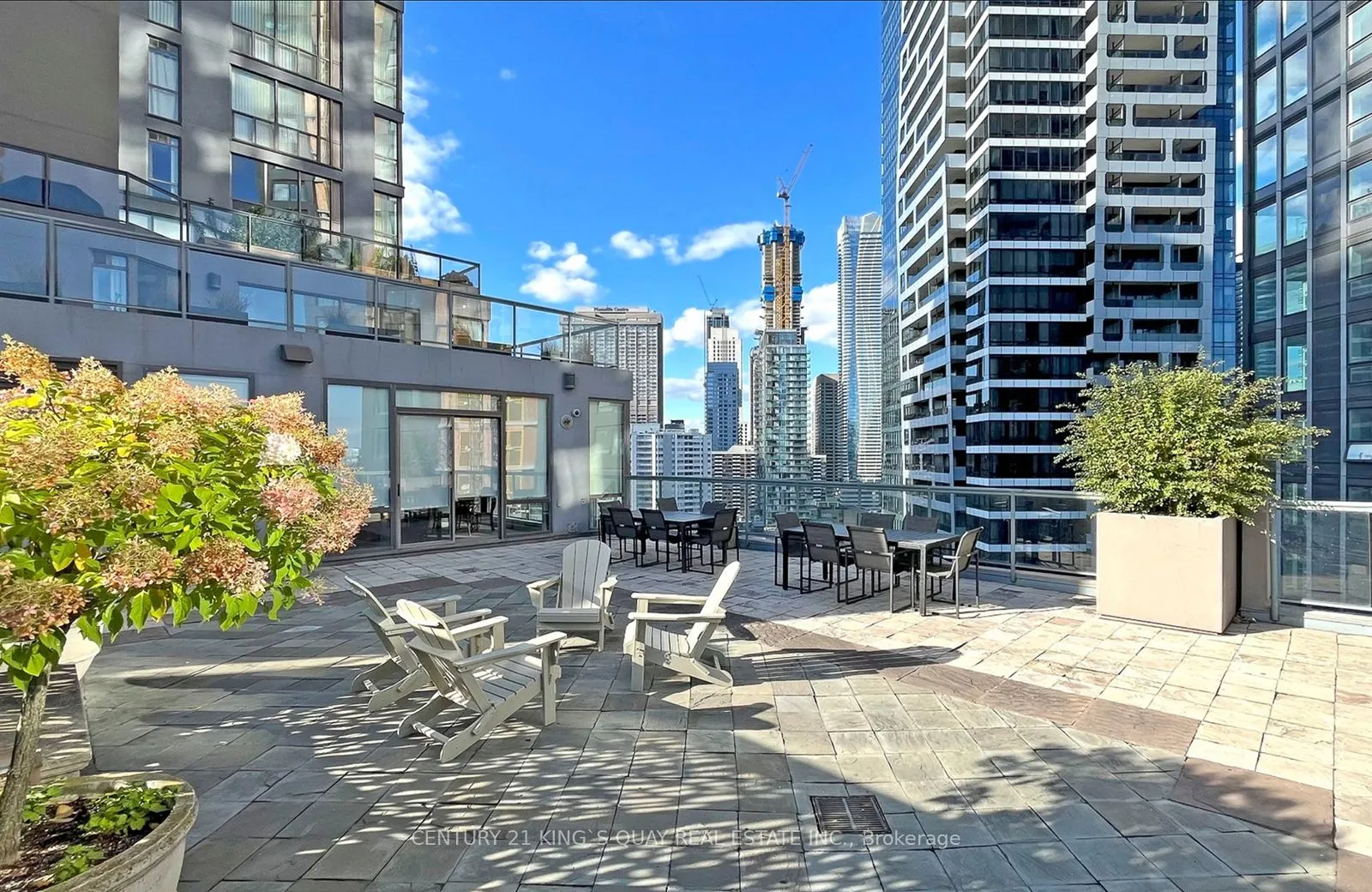 24 Wellesley Street W, #1407
