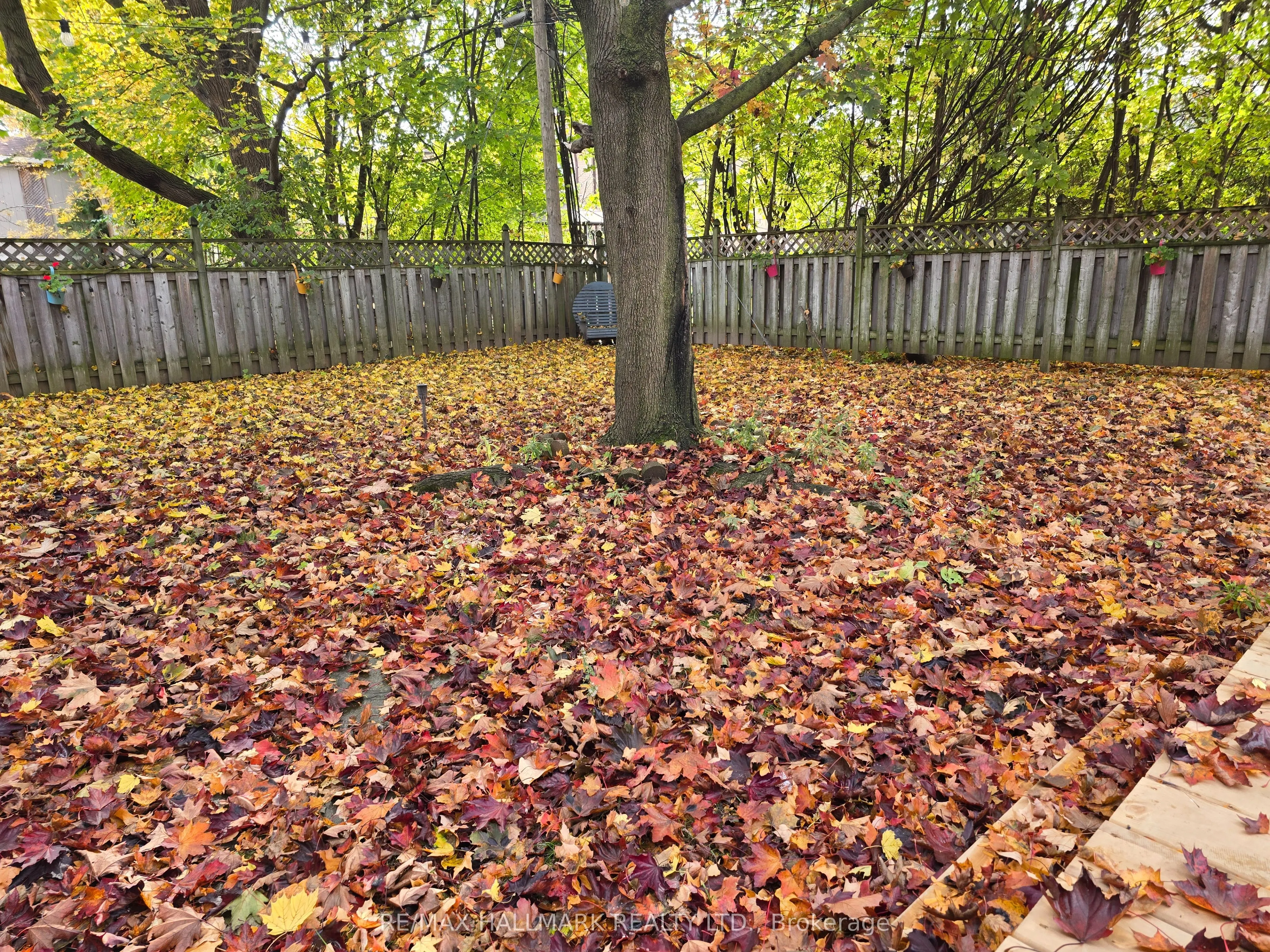 10 Ternhill Crescent