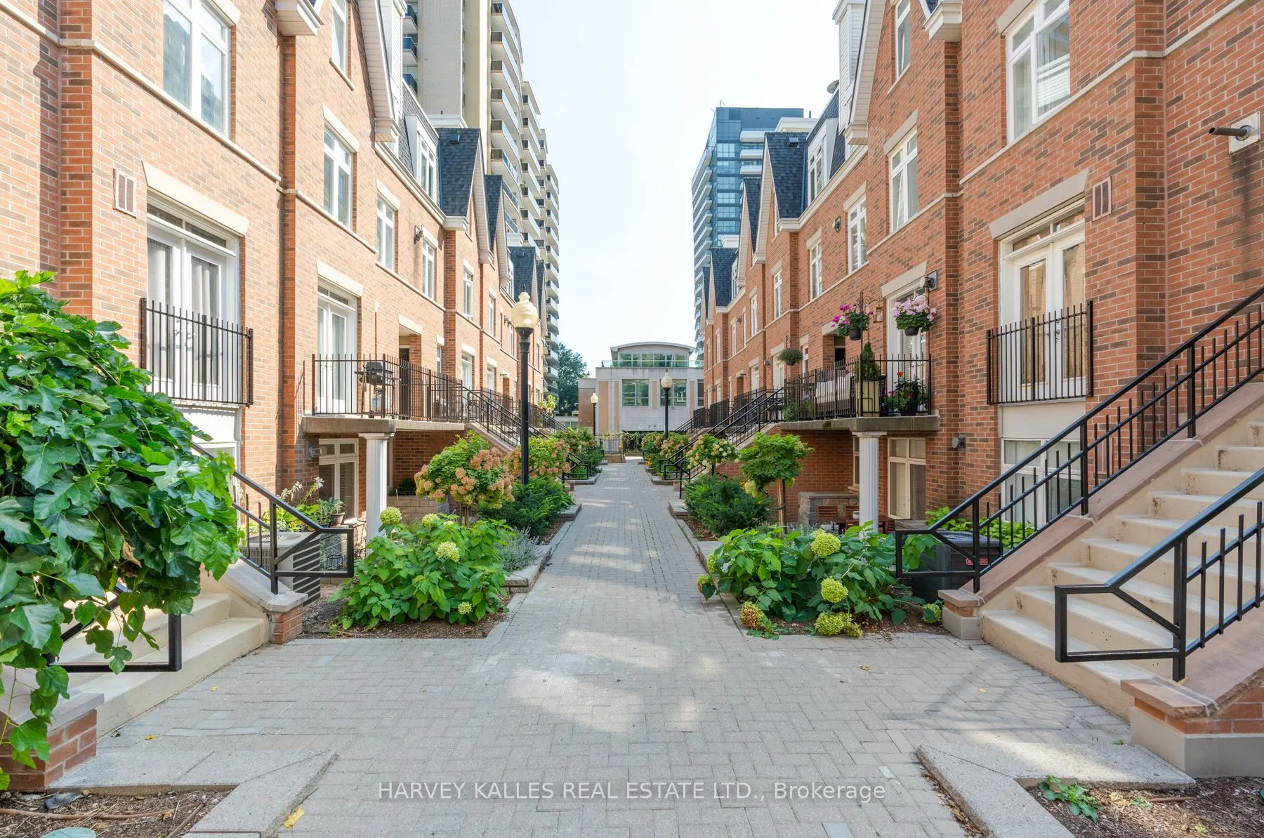 85 Lillian Street, #10