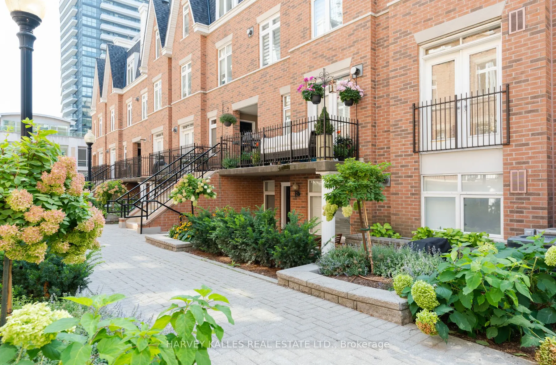 85 Lillian Street, #10