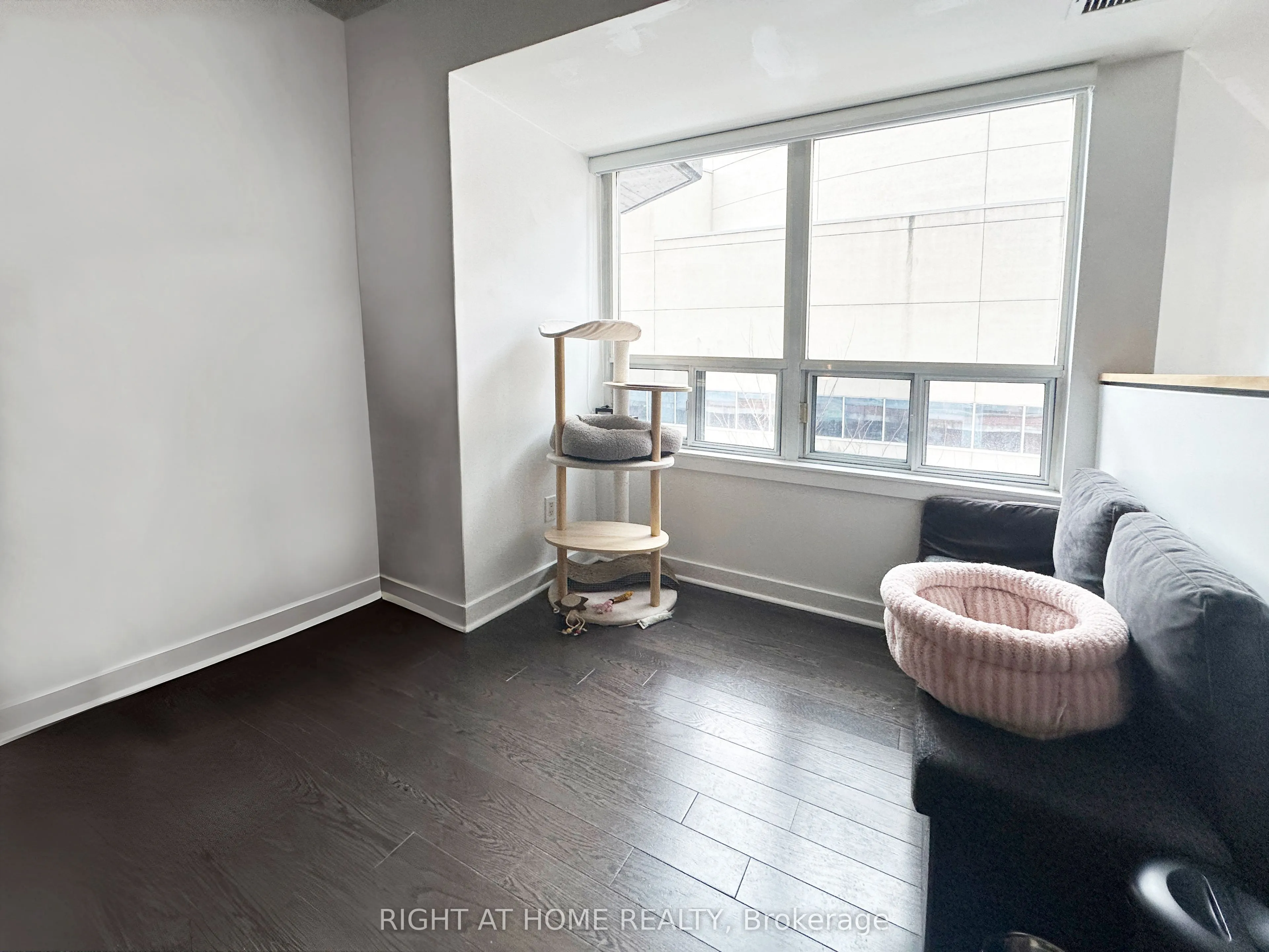 255 Richmond Street E, #229