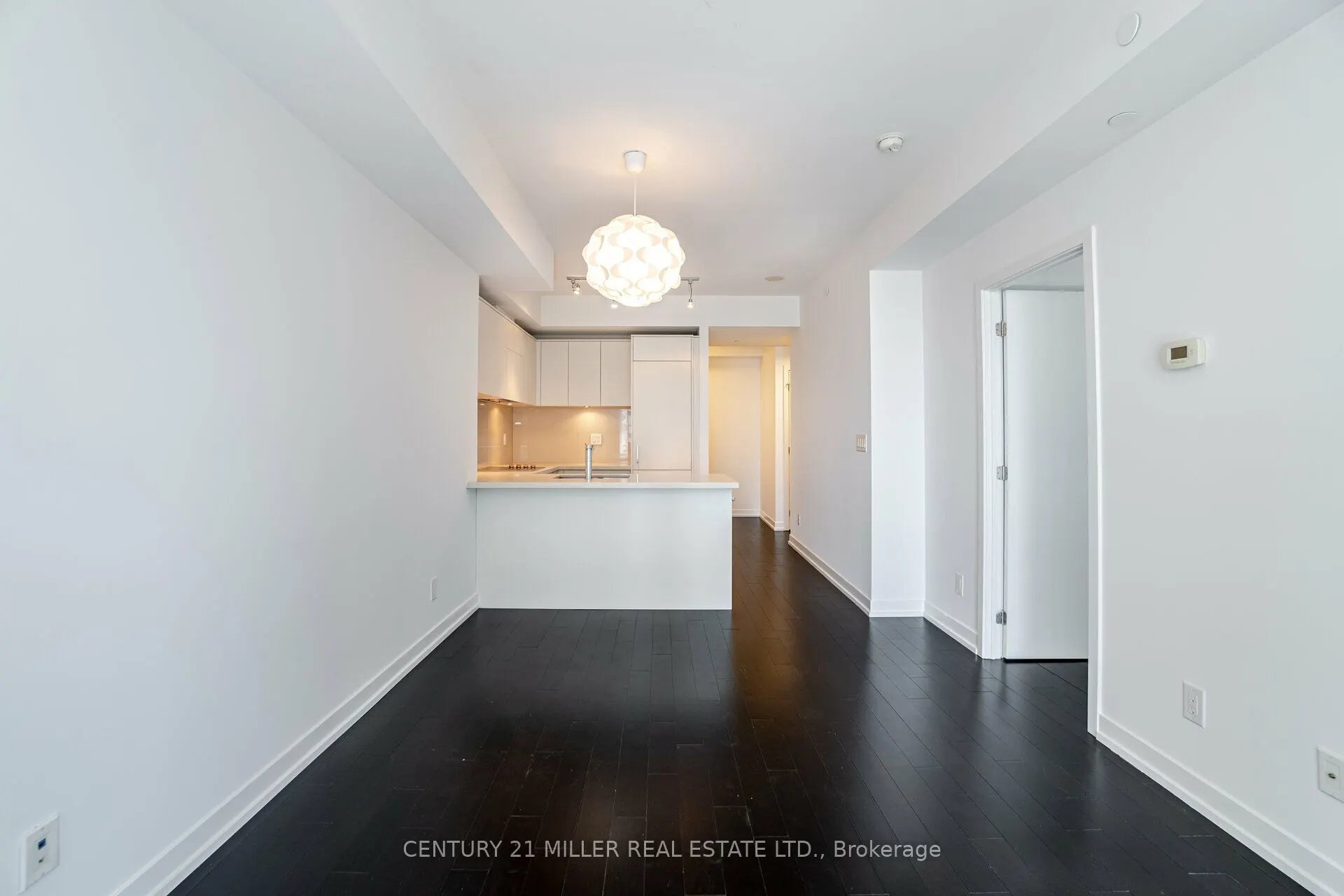 21 Widmer Street #3701