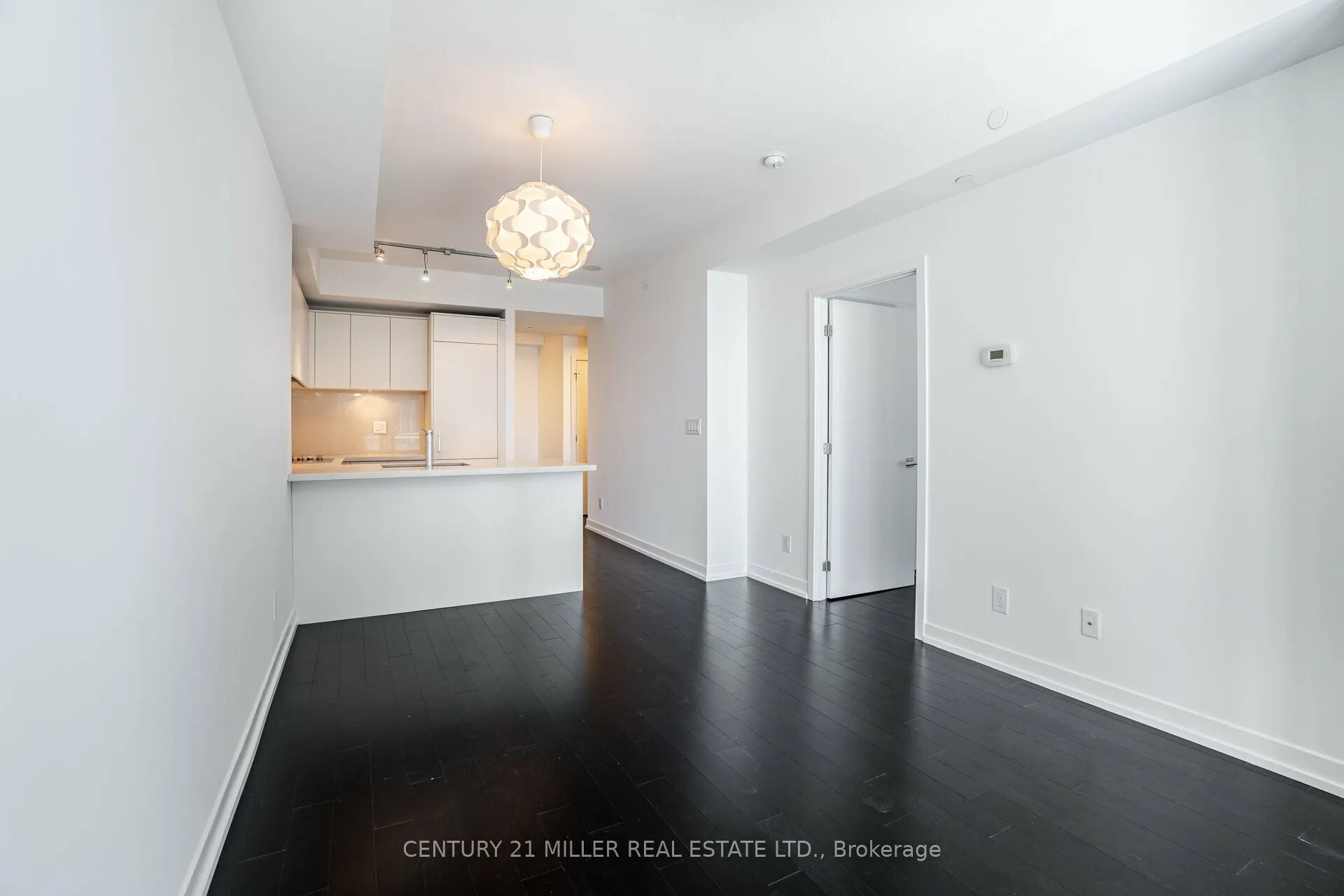 21 Widmer Street #3701
