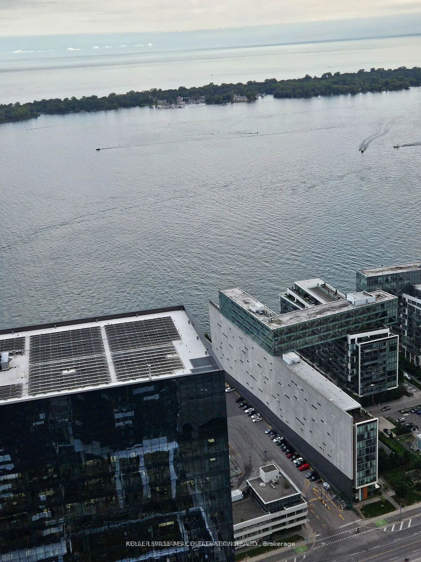55 Cooper Street, #6308