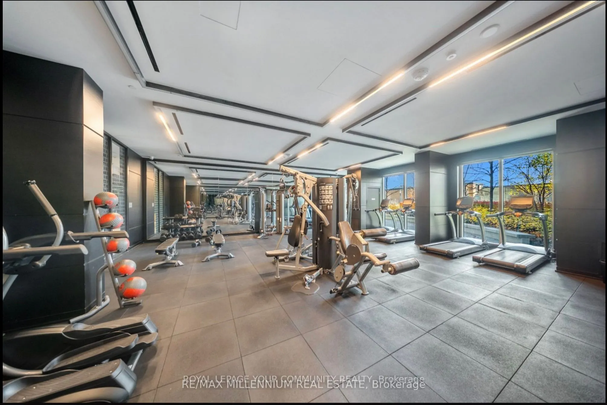 31 Tippett Road, #439