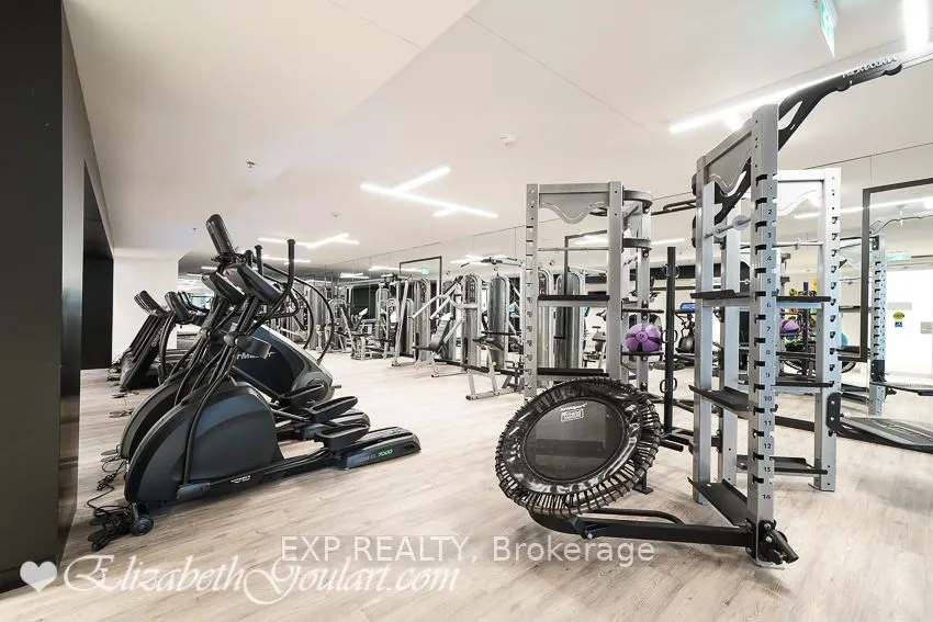 181 Dundas Street E, #5207