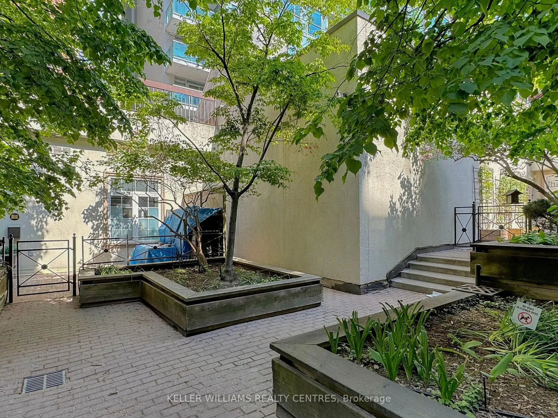 71 McCaul Street, #123