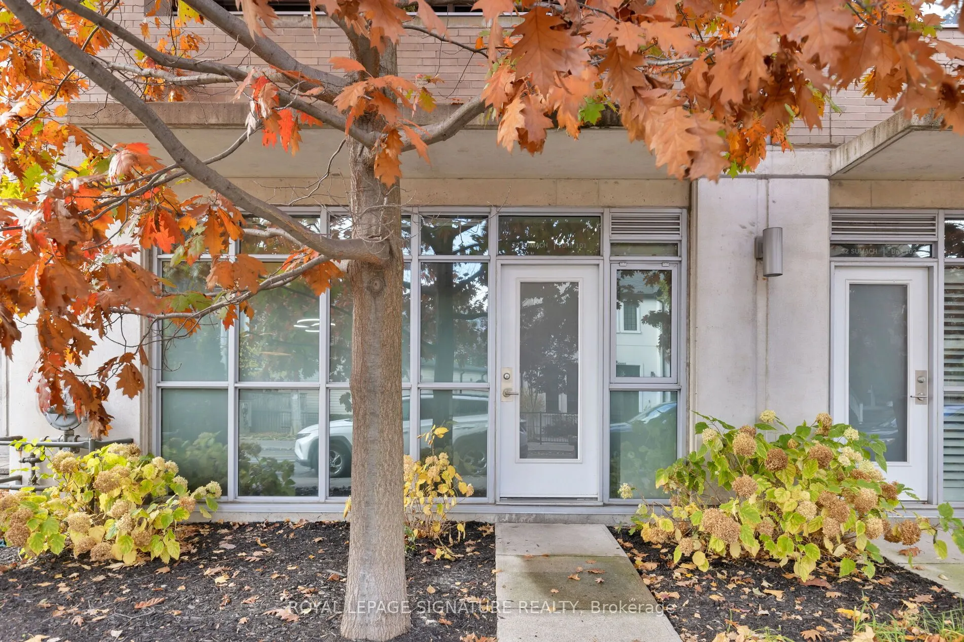 52 Sumach Street, #101
