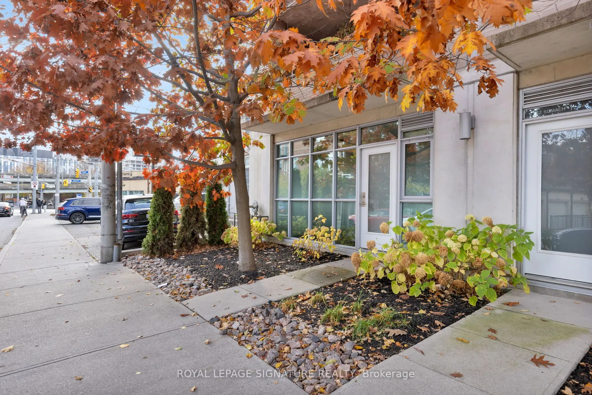 52 Sumach Street, #101