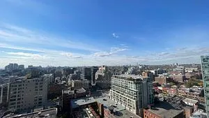 108 Peter Street #2011