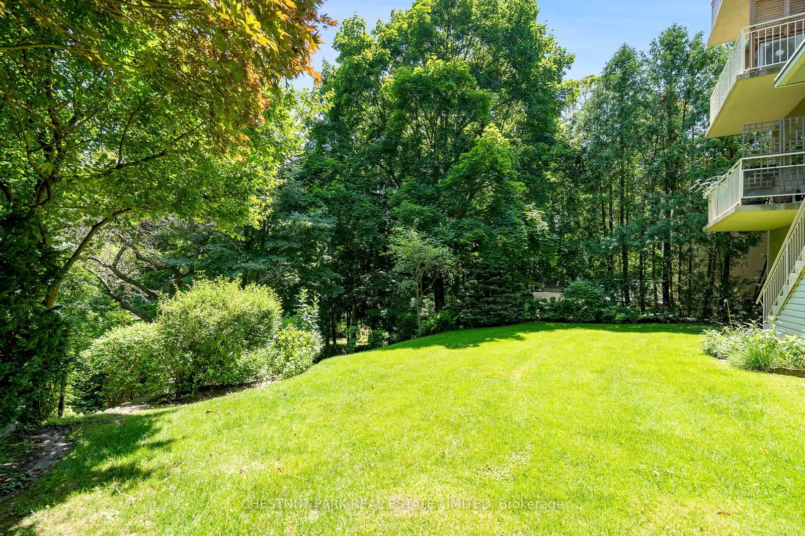 31 Rosedale Road, #103