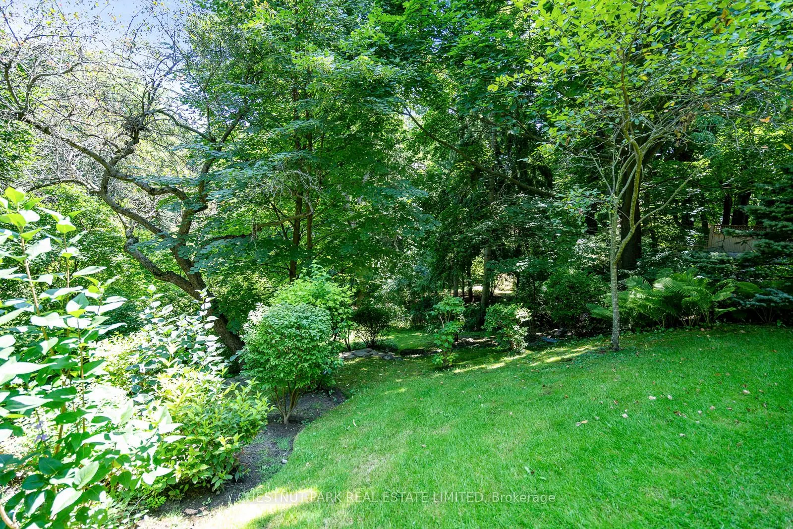31 Rosedale Road, #103