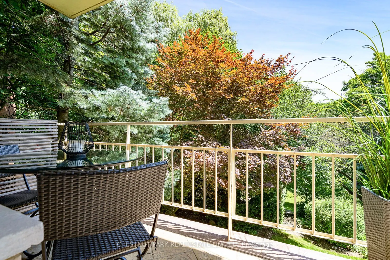 31 Rosedale Road, #103