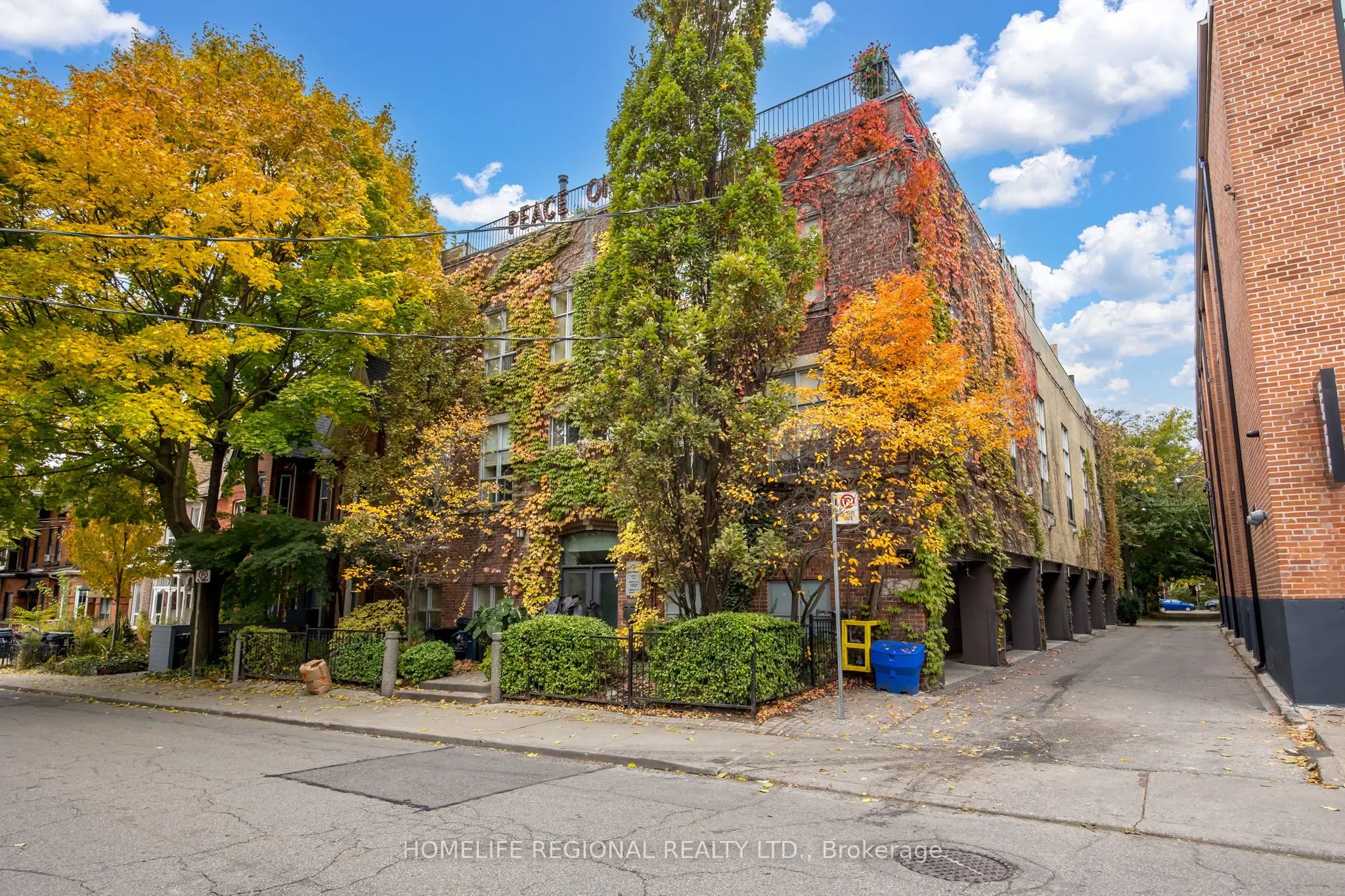 62 Claremont Street, #6