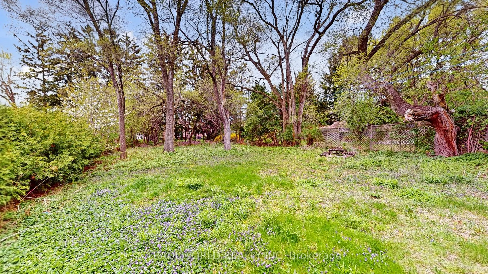 54 Wedgewood Drive