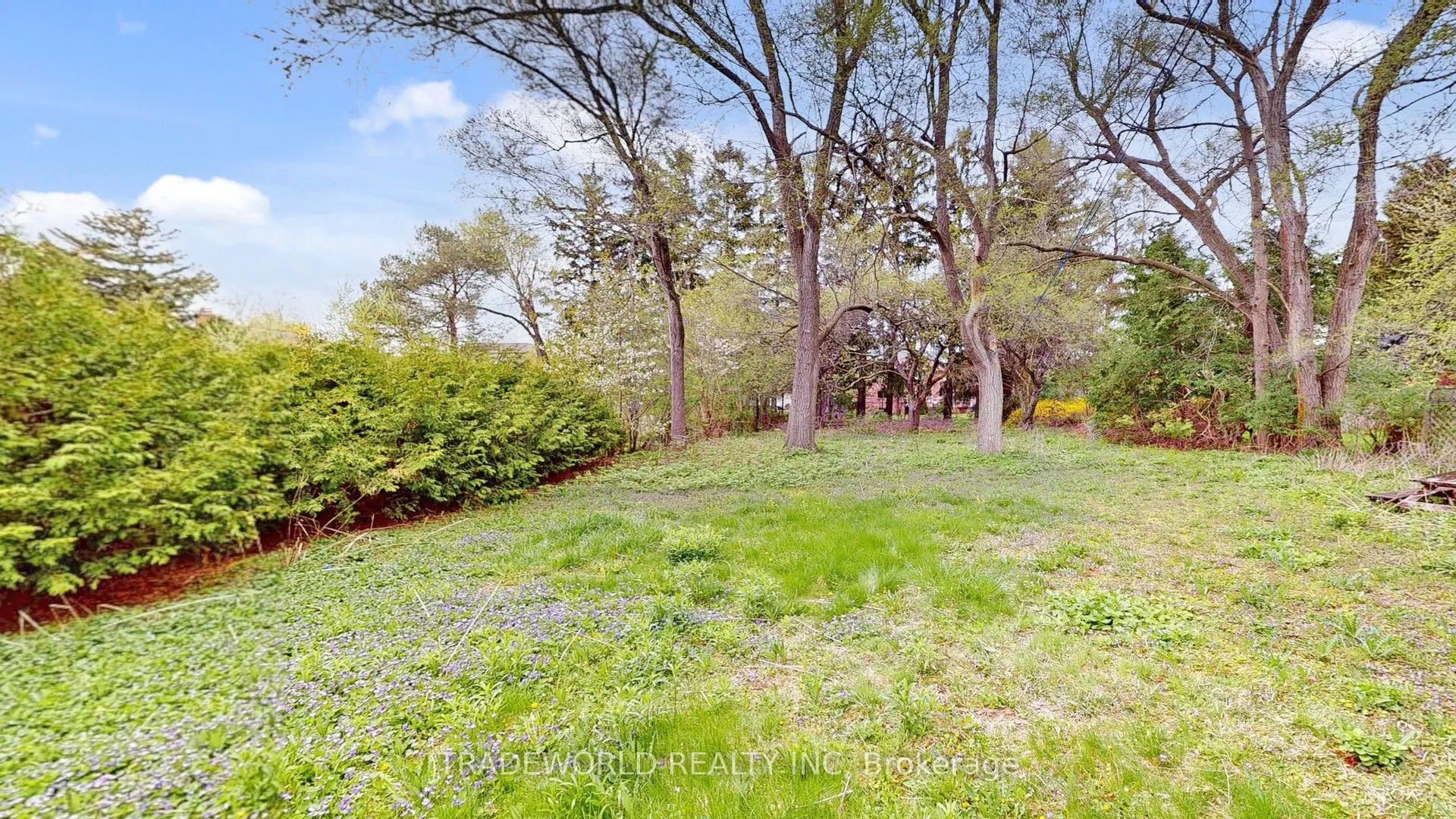 54 Wedgewood Drive