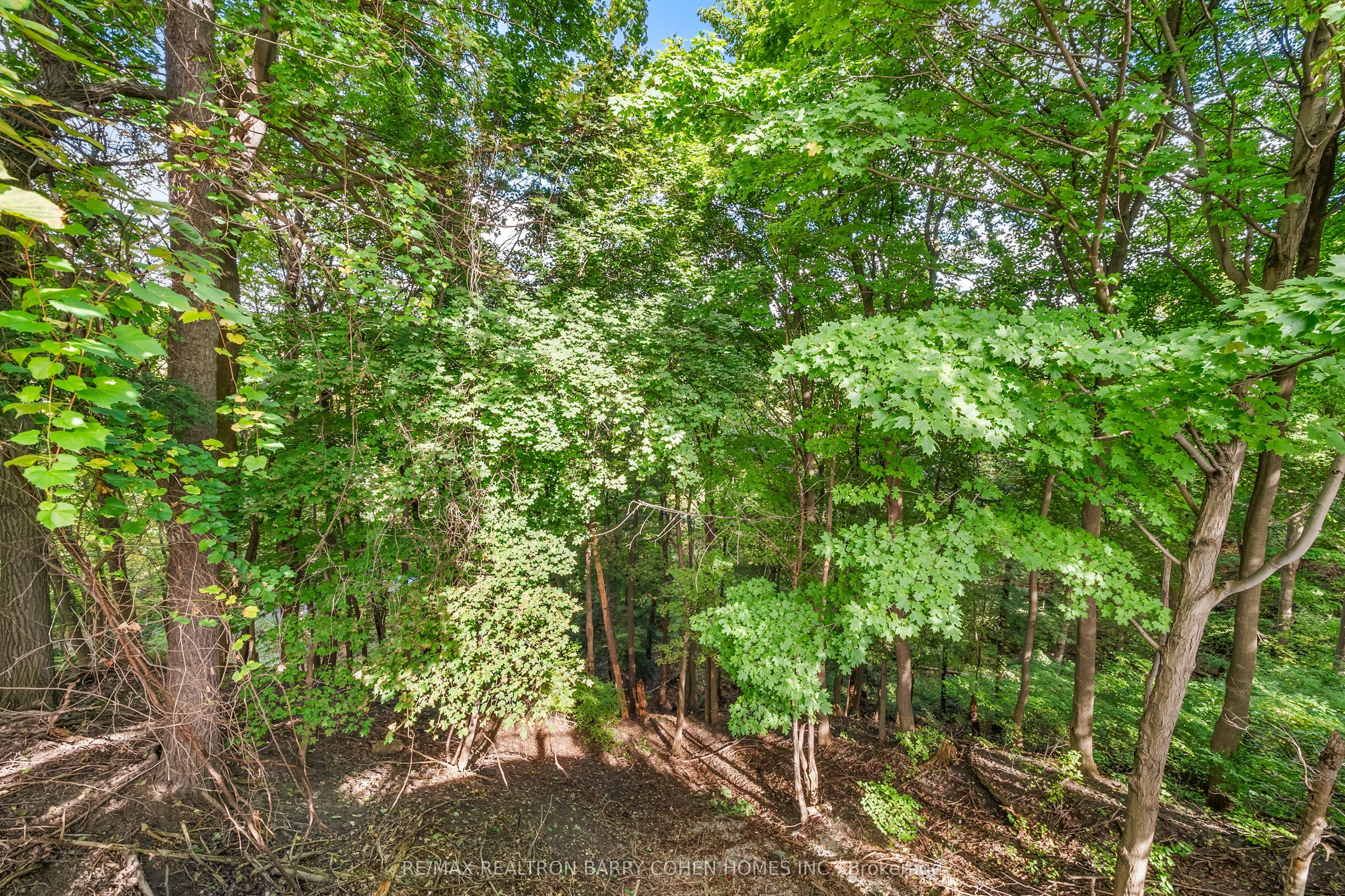 336 Riverview Drive