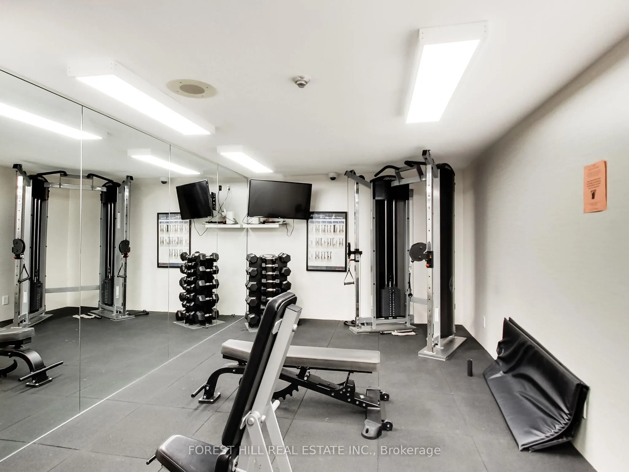 133 Torresdale Avenue, #305