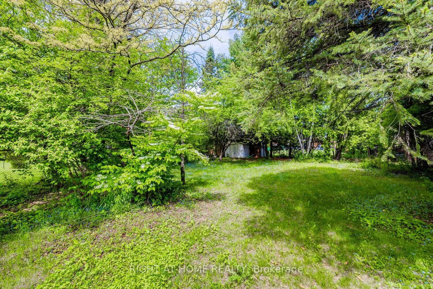 144 Wedgewood Drive