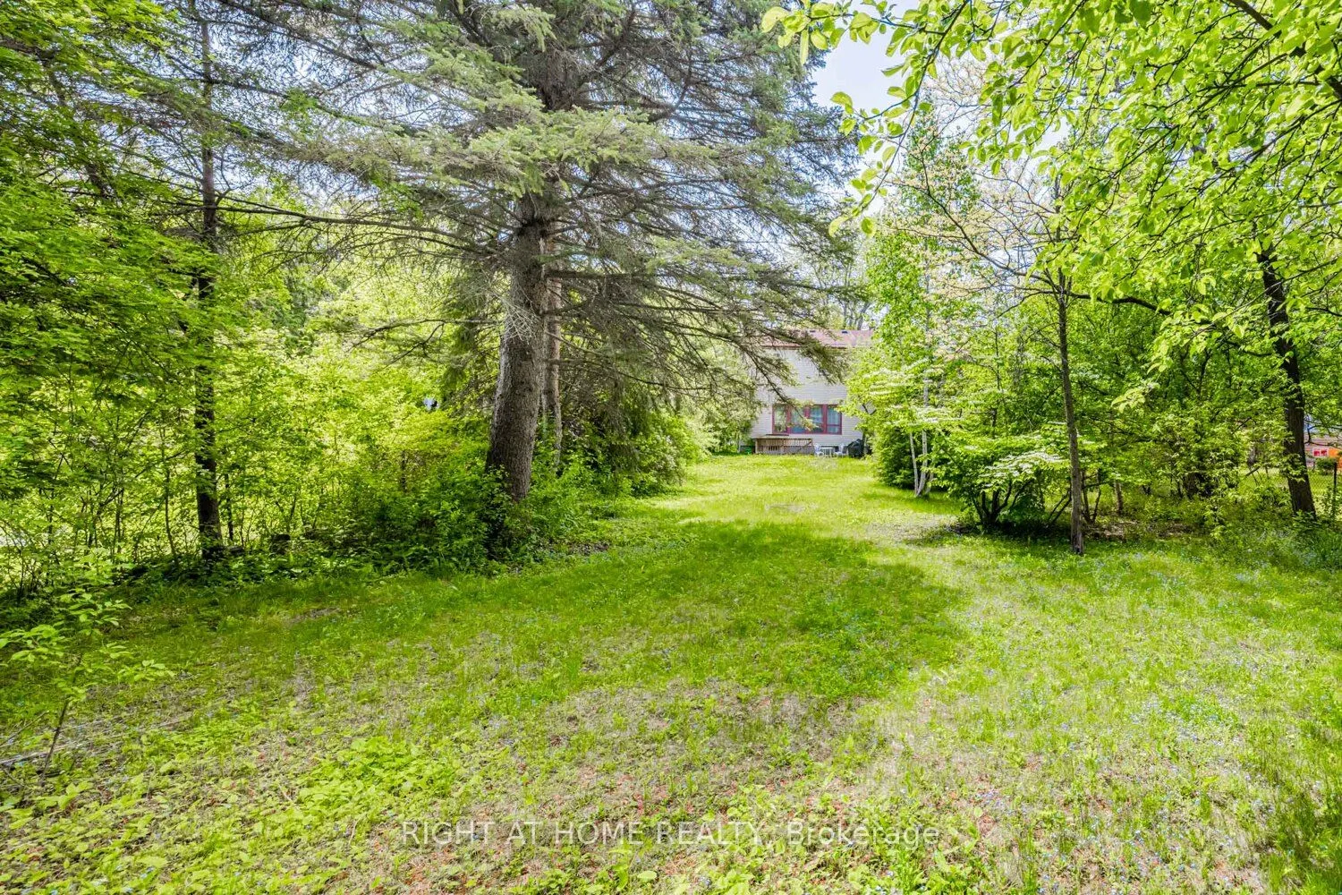 144 Wedgewood Drive