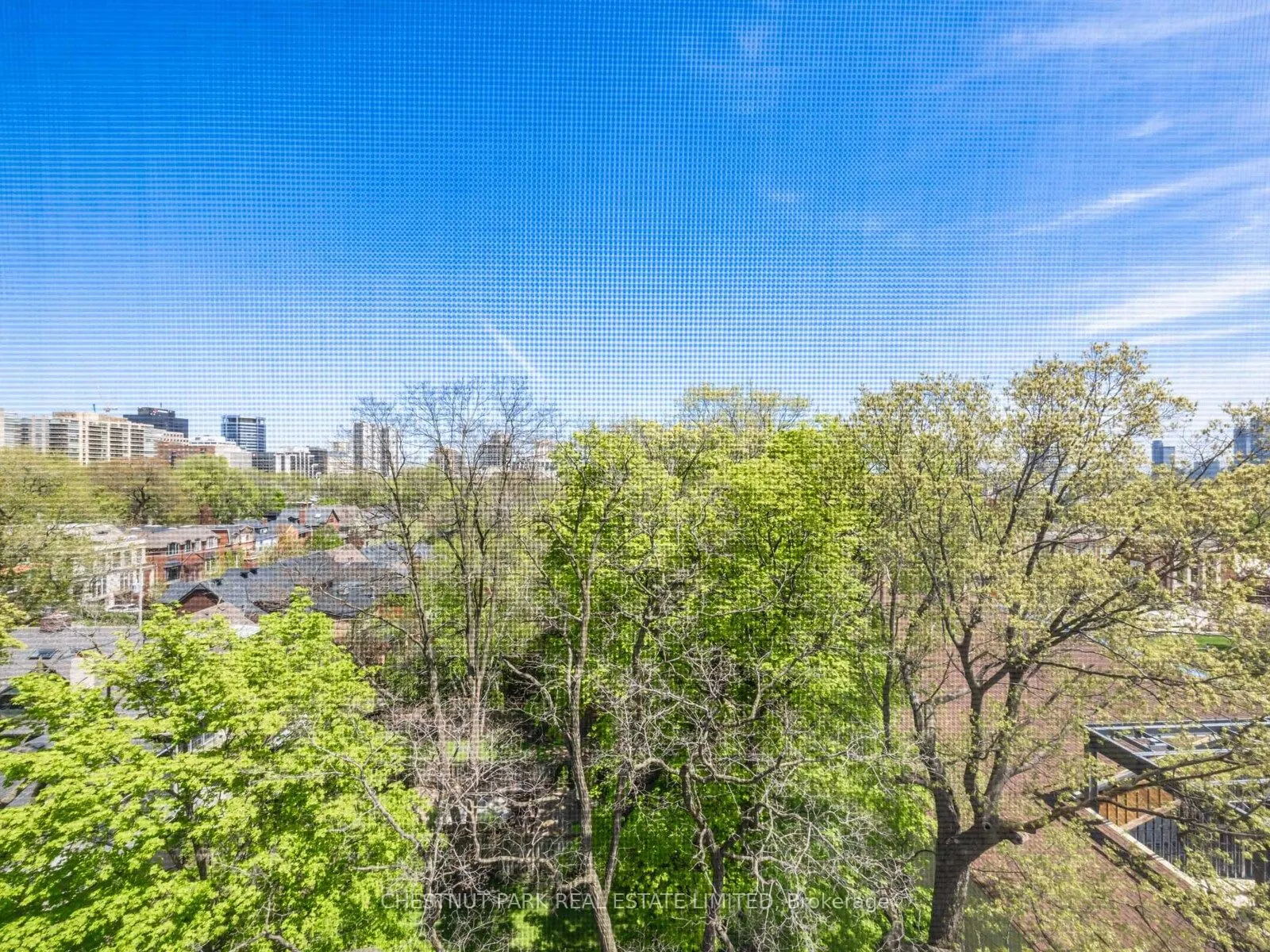 423 Avenue Road #8