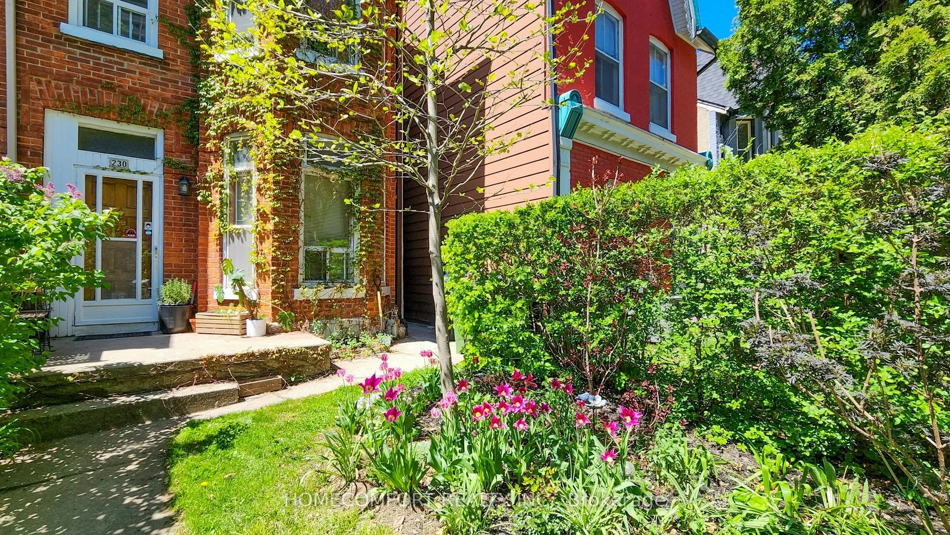 230 Robert Street