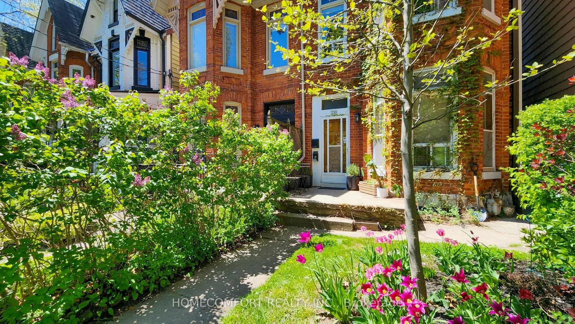 230 Robert Street