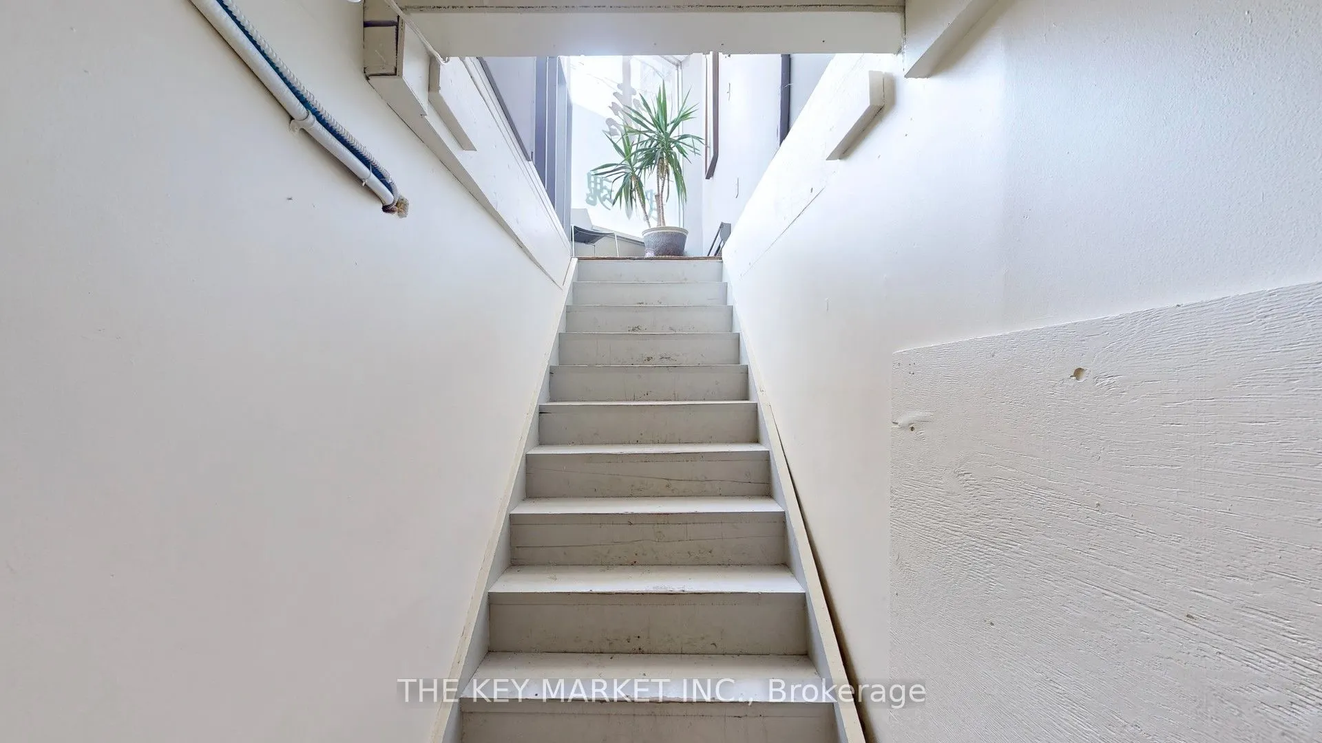 44 Vaughan Road
