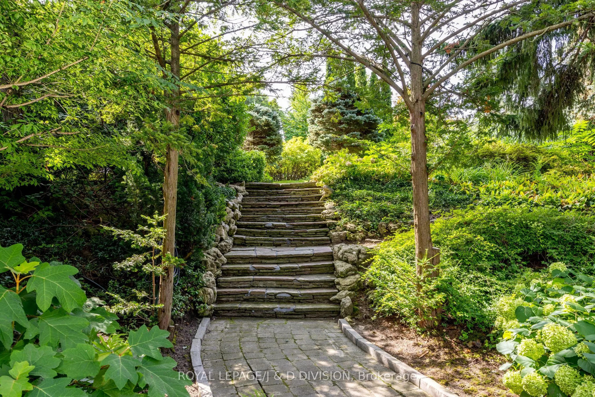 12 Forest Glen Crescent
