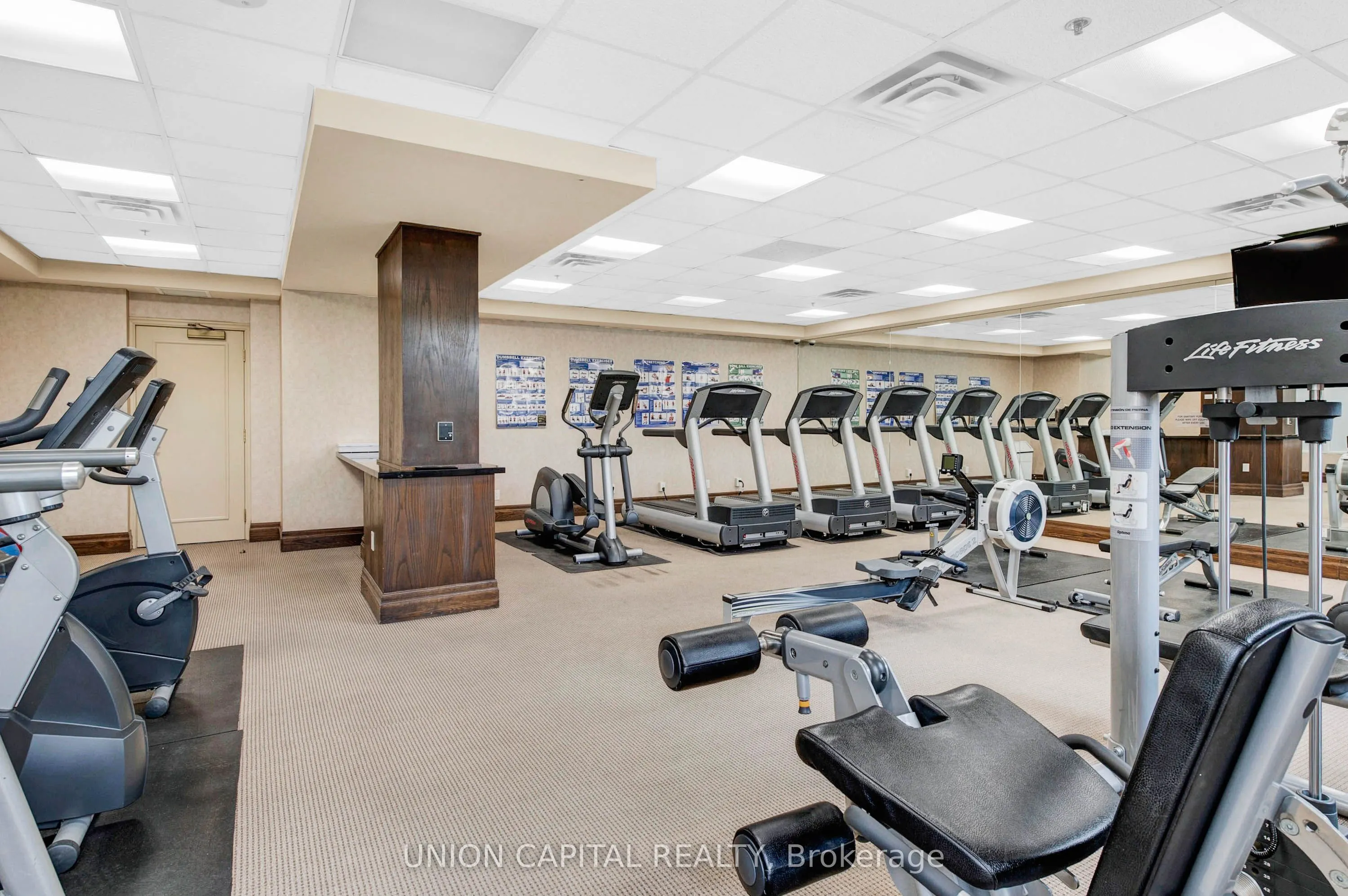 1101 Leslie Street, #806