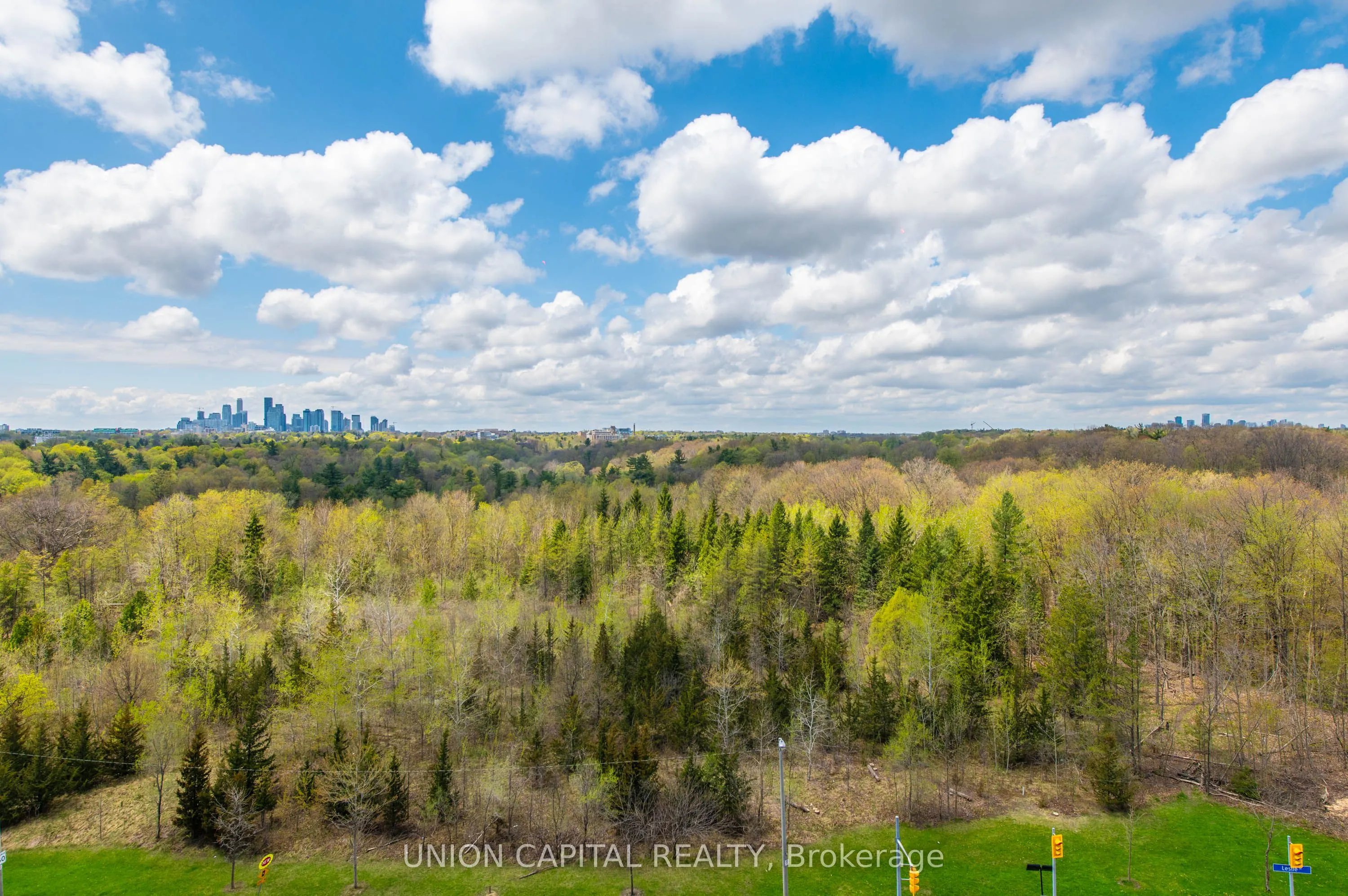 1101 Leslie Street, #806