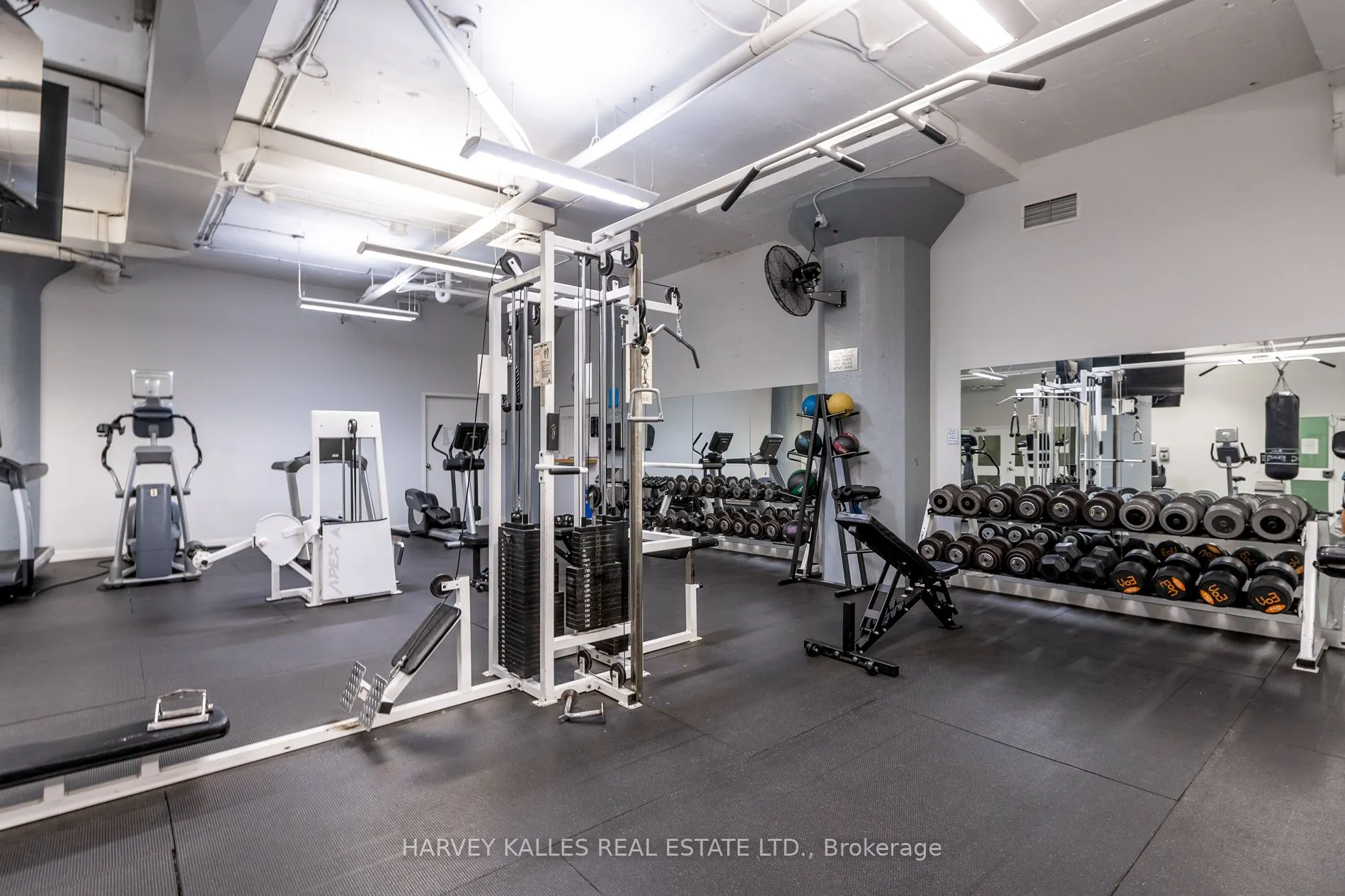 155 Dalhousie Street, #953