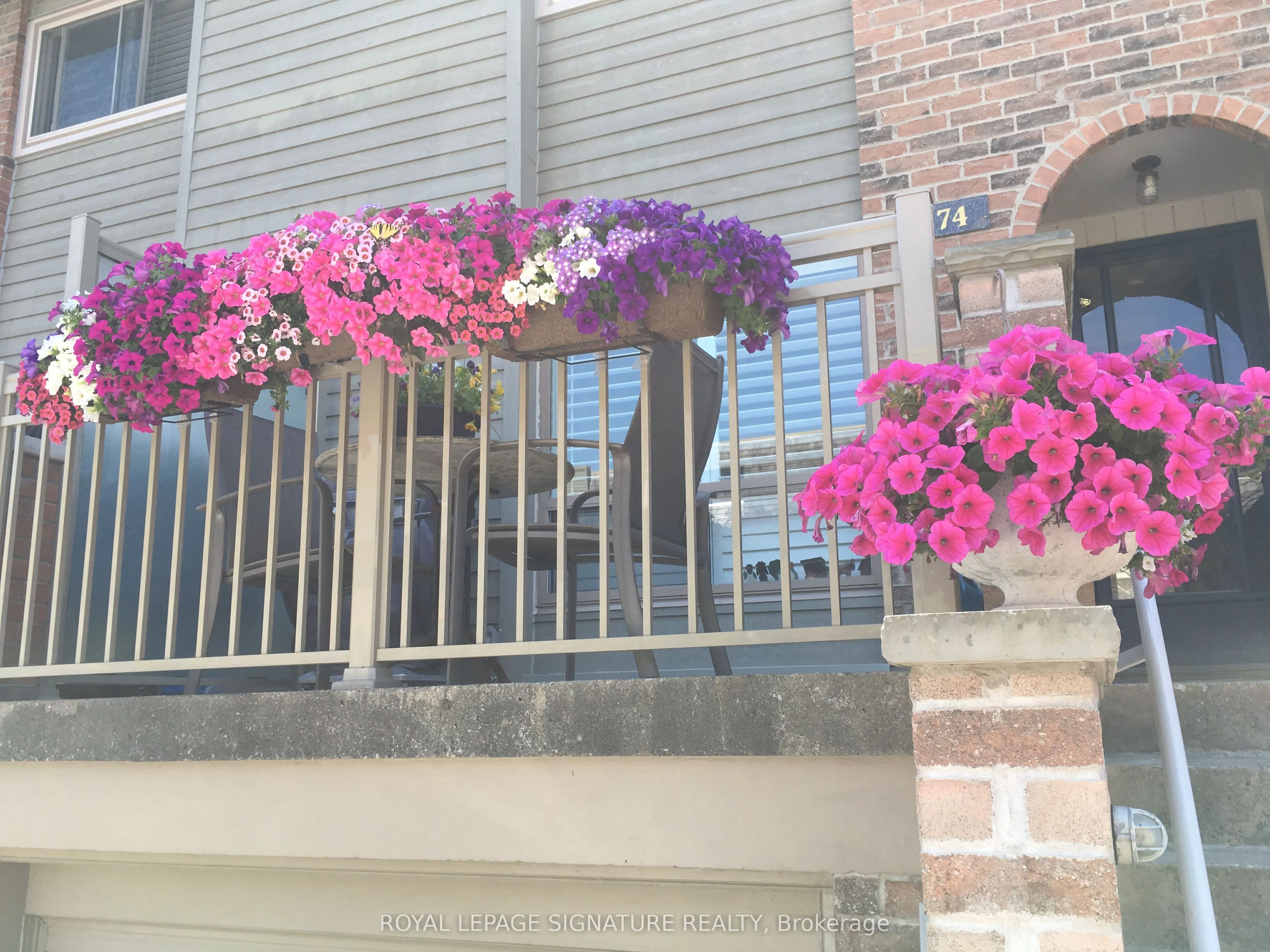 74 Dutch Myrtle Way, #31