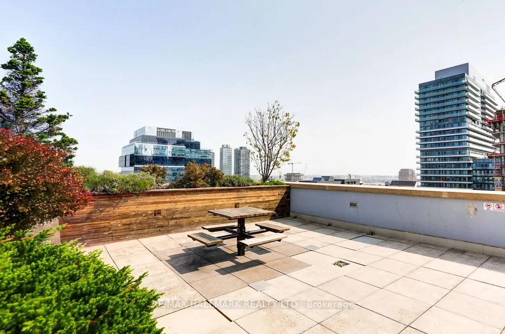 230 King Street E, #911