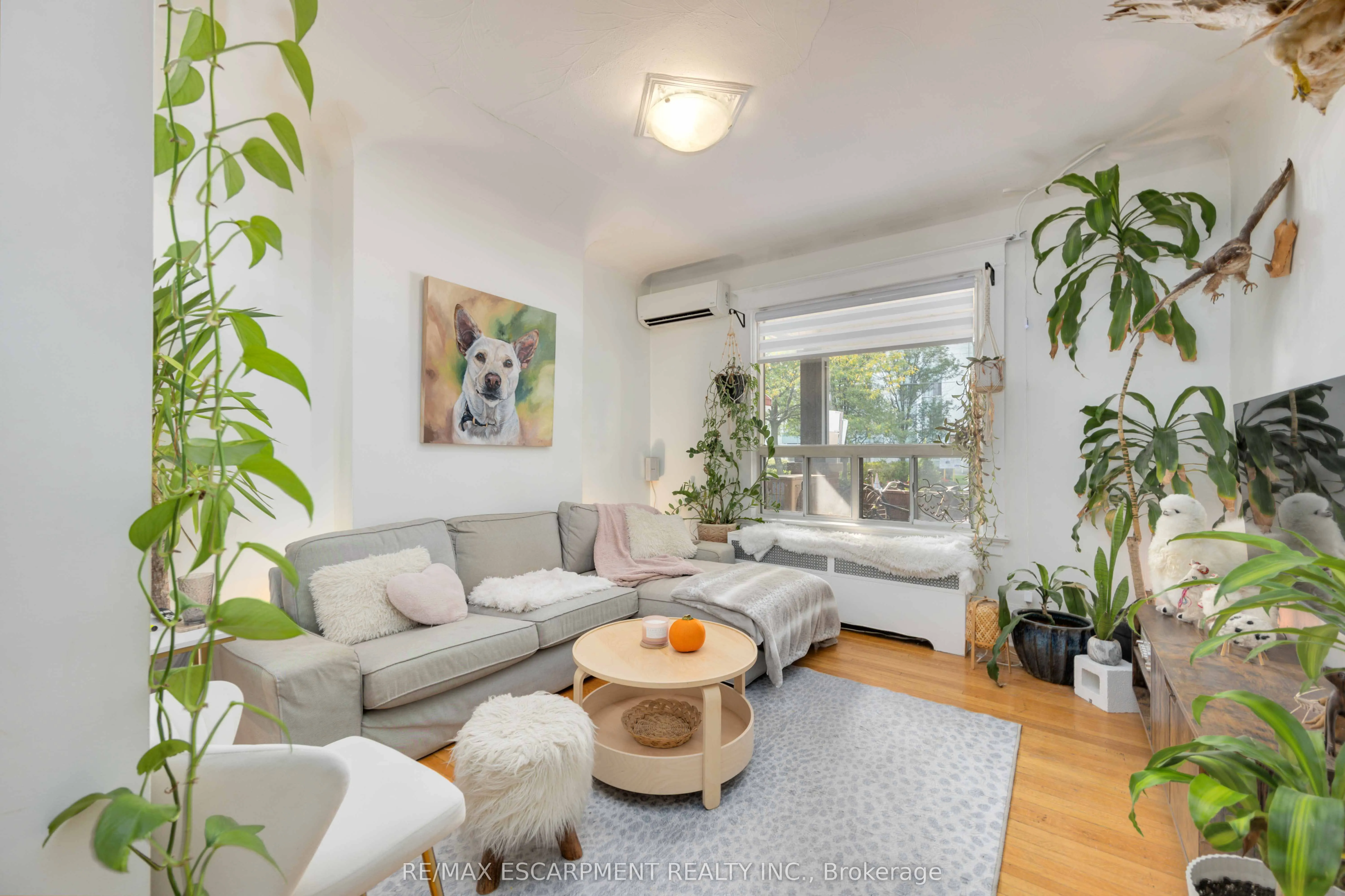 689 Dovercourt Road
