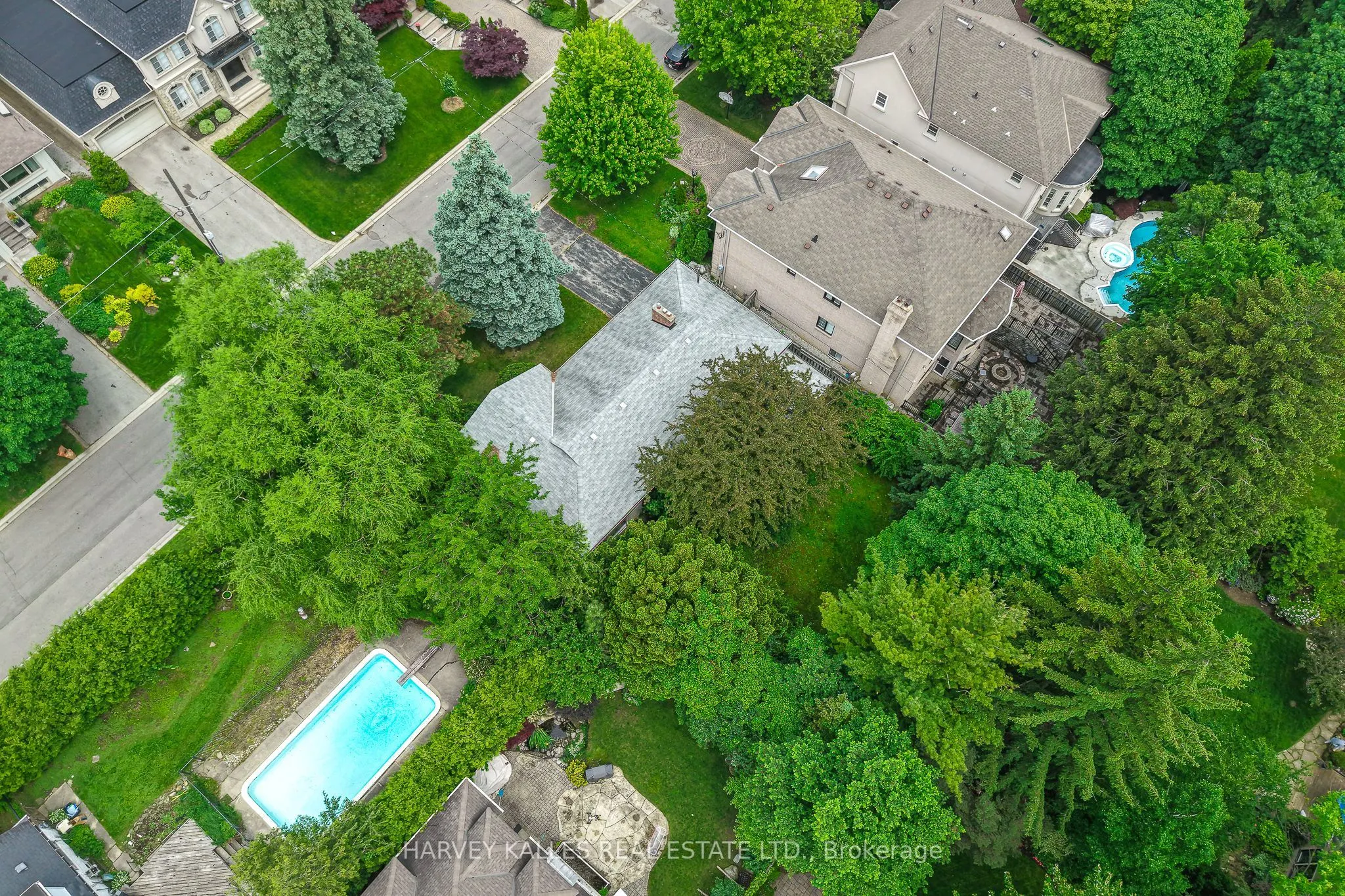 17 Munro Boulevard
