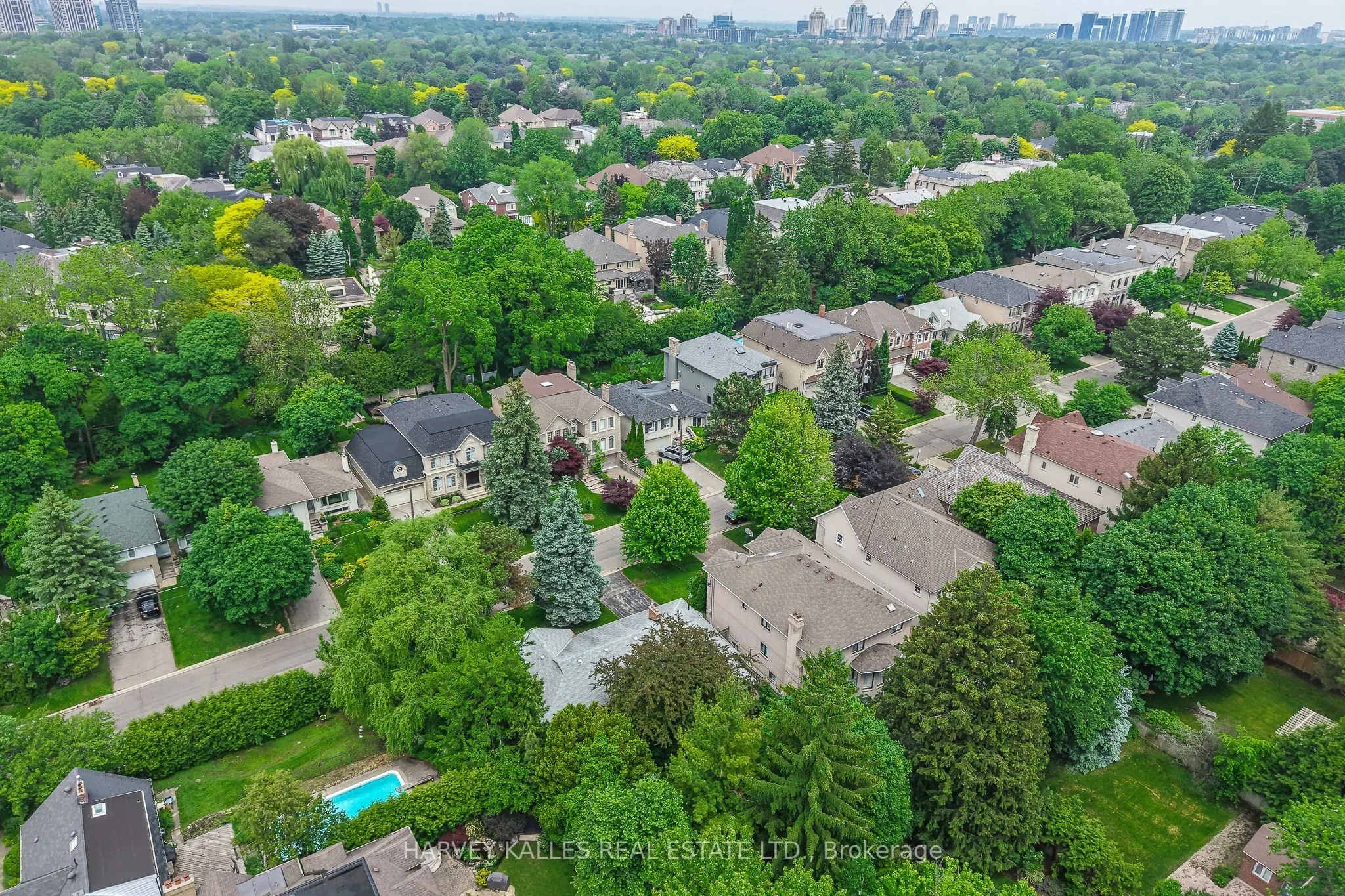 17 Munro Boulevard