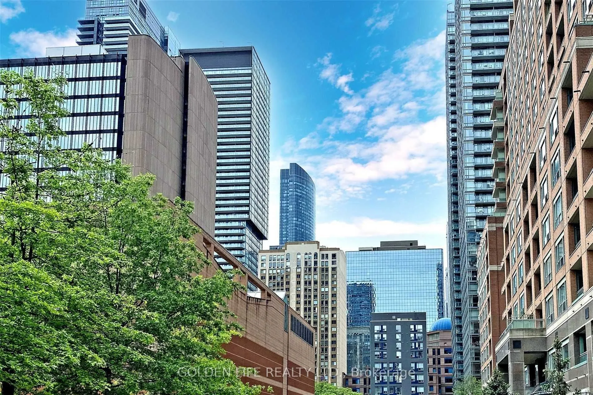 889 Bay Street, #205
