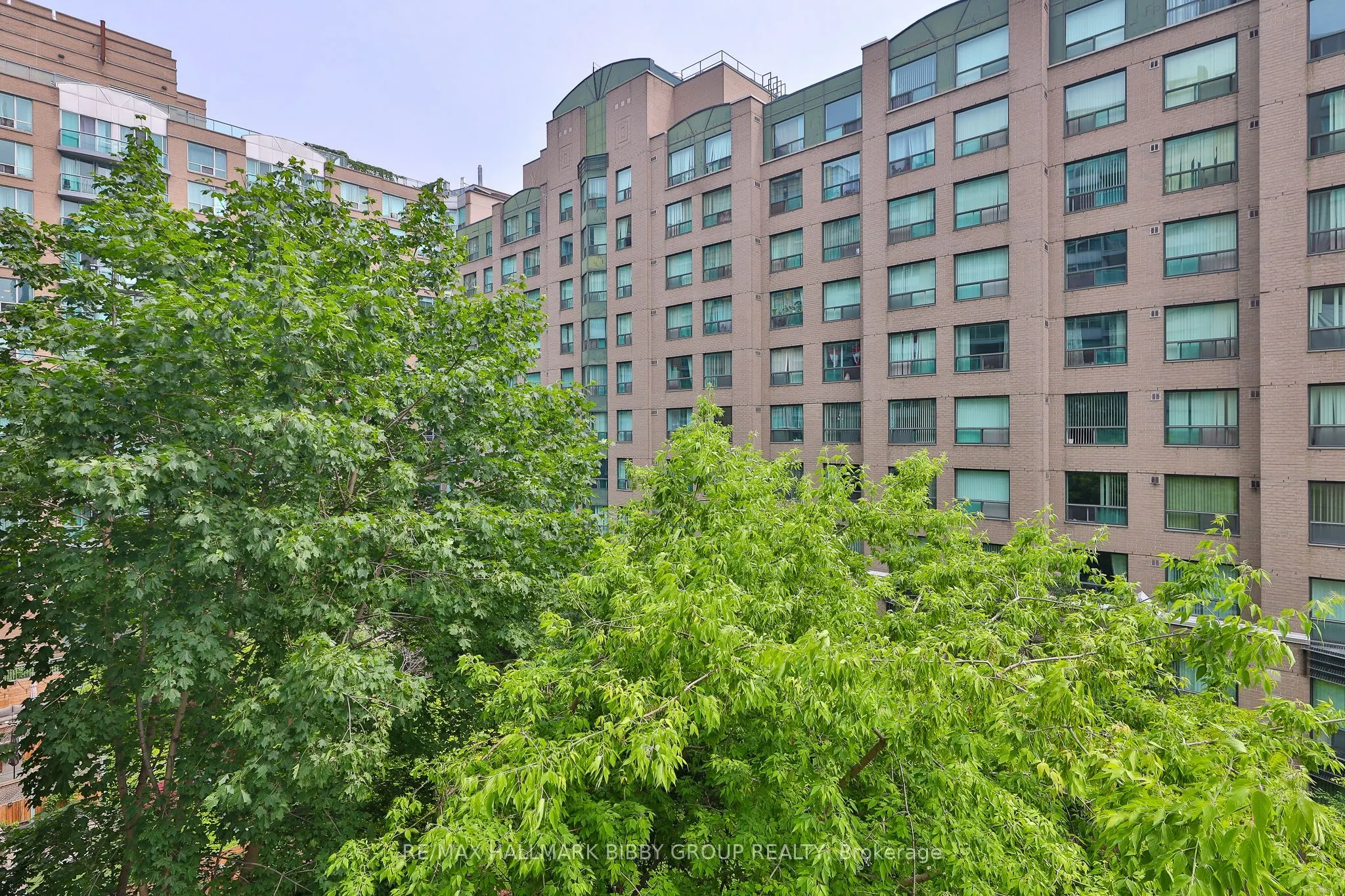 109 Front Street E #528