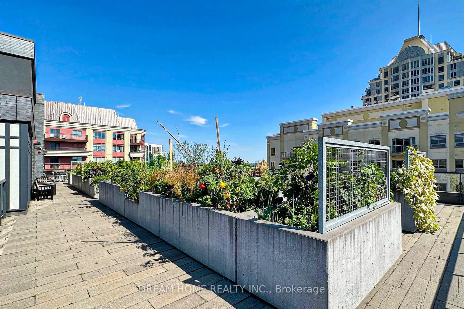 18 Rean Drive, #301