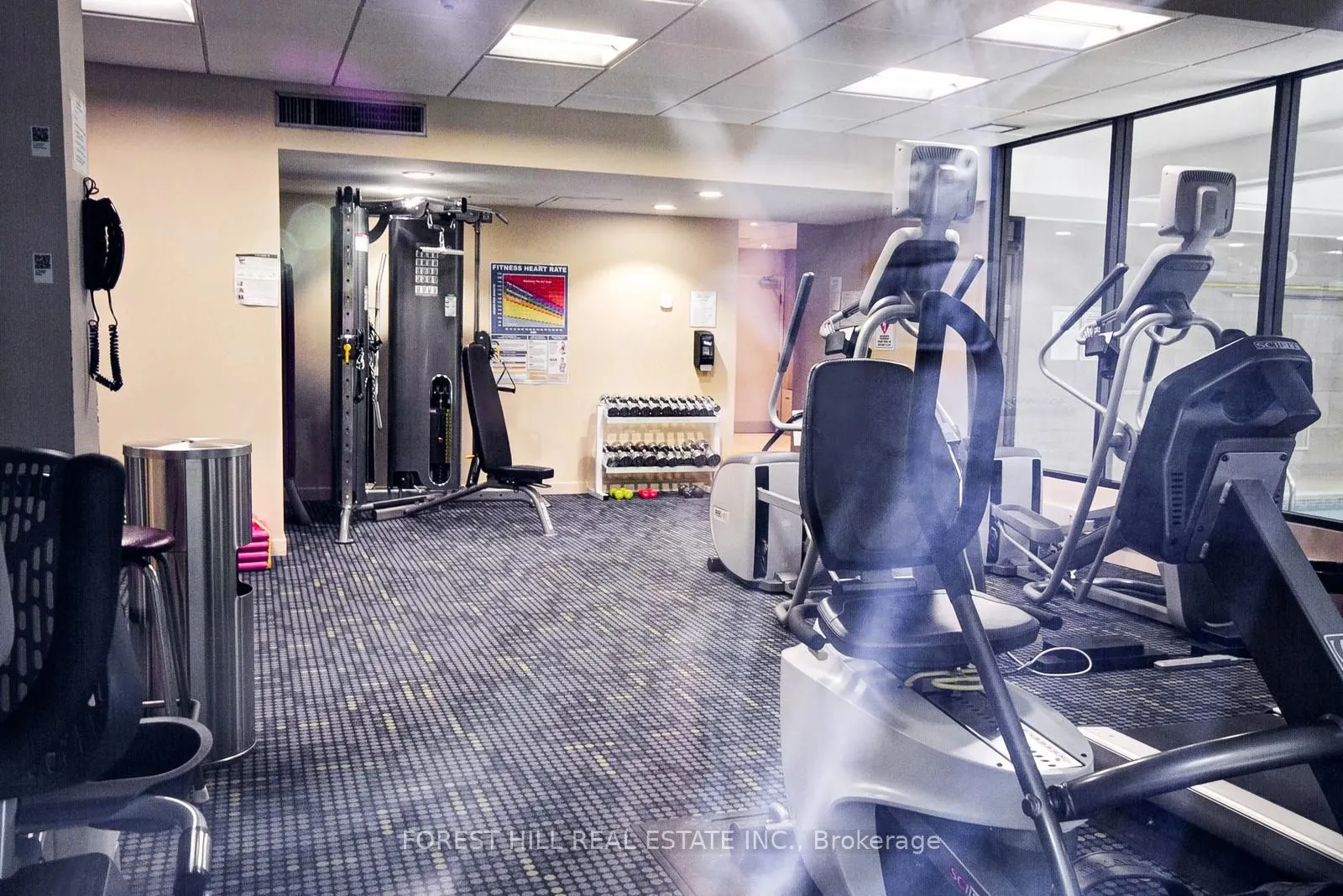 1166 Bay Street, #1105