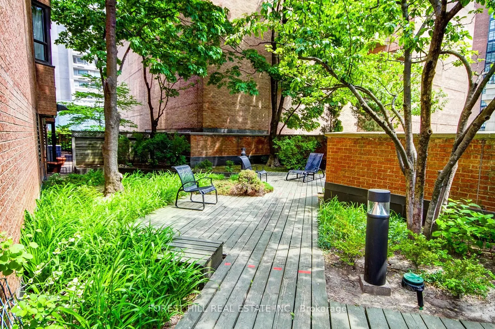 1166 Bay Street, #1105