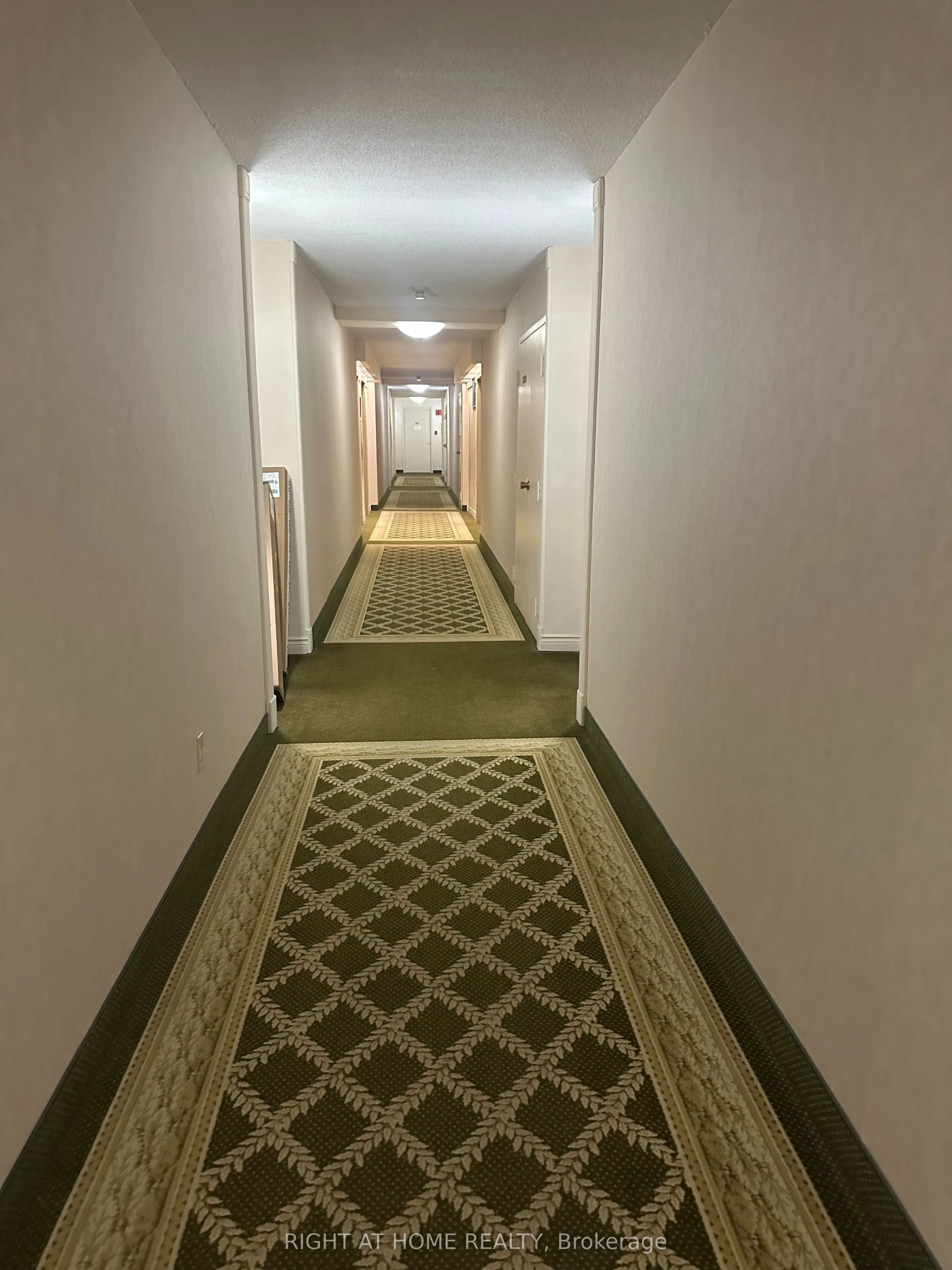131 Torresdale Avenue, #302