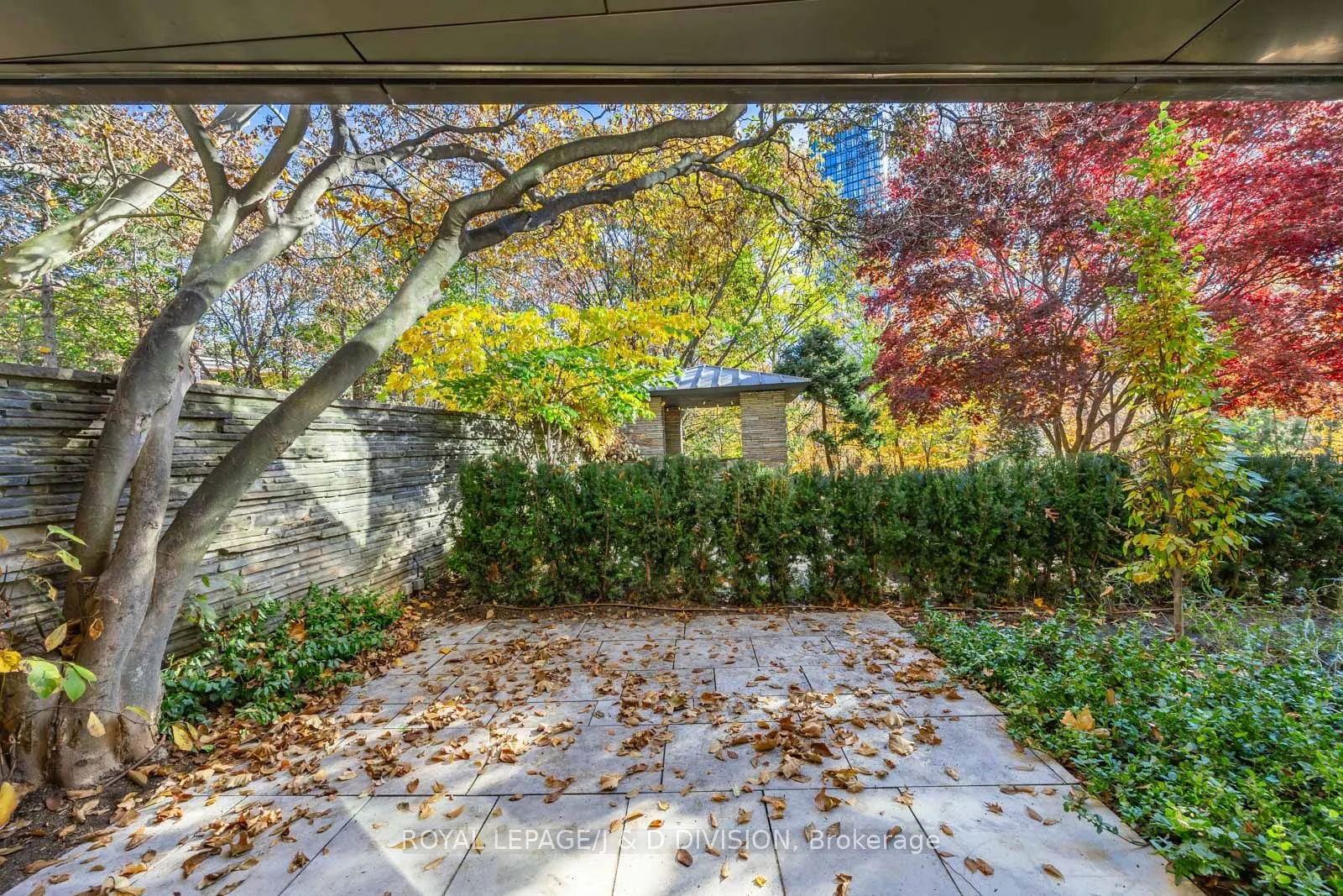 7 Dale Avenue, #105