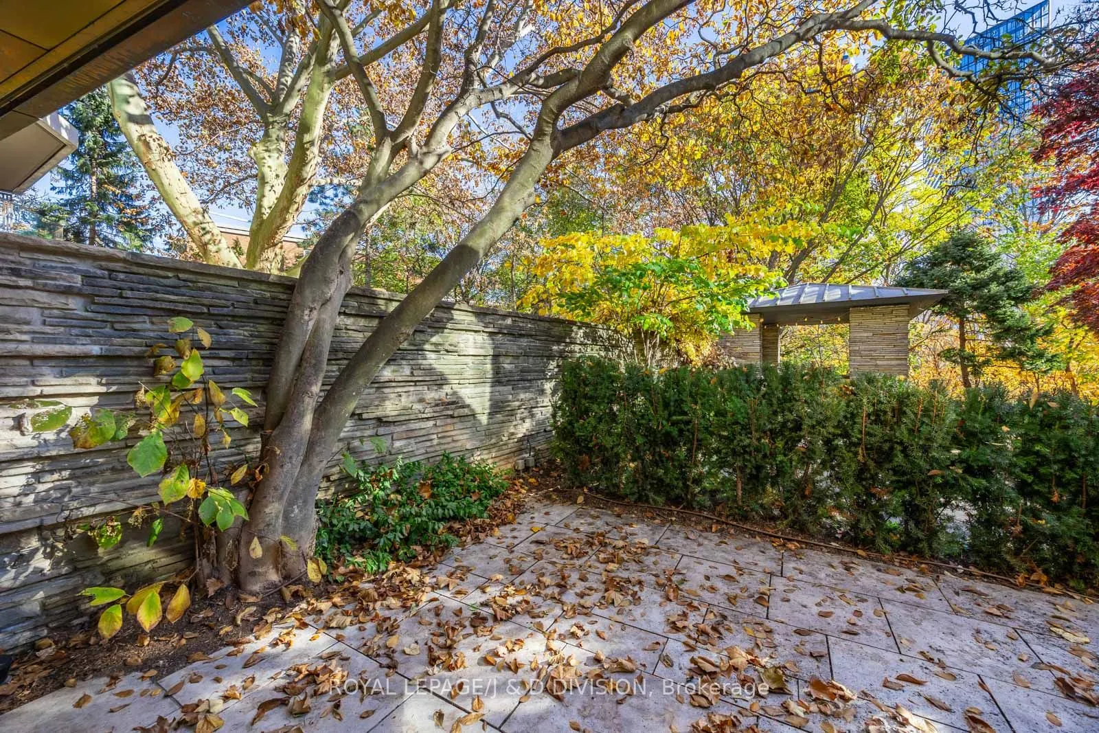 7 Dale Avenue, #105