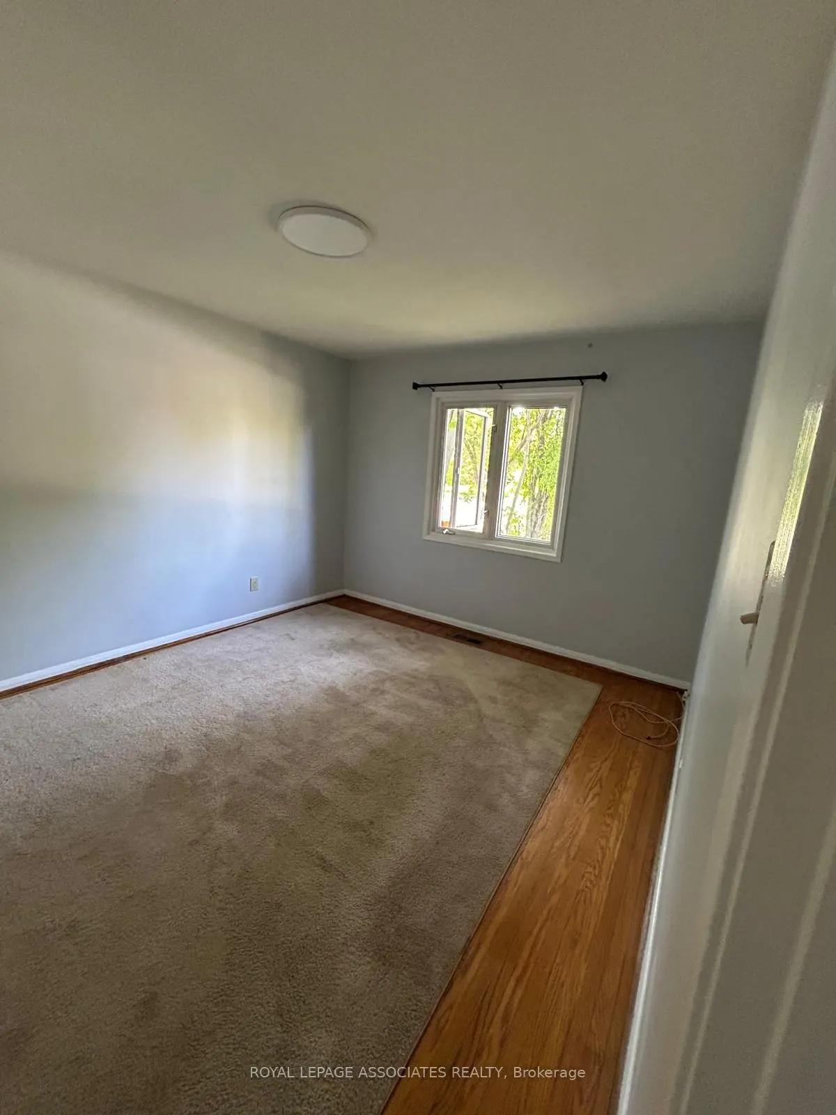 98 Wigmore Drive #Main